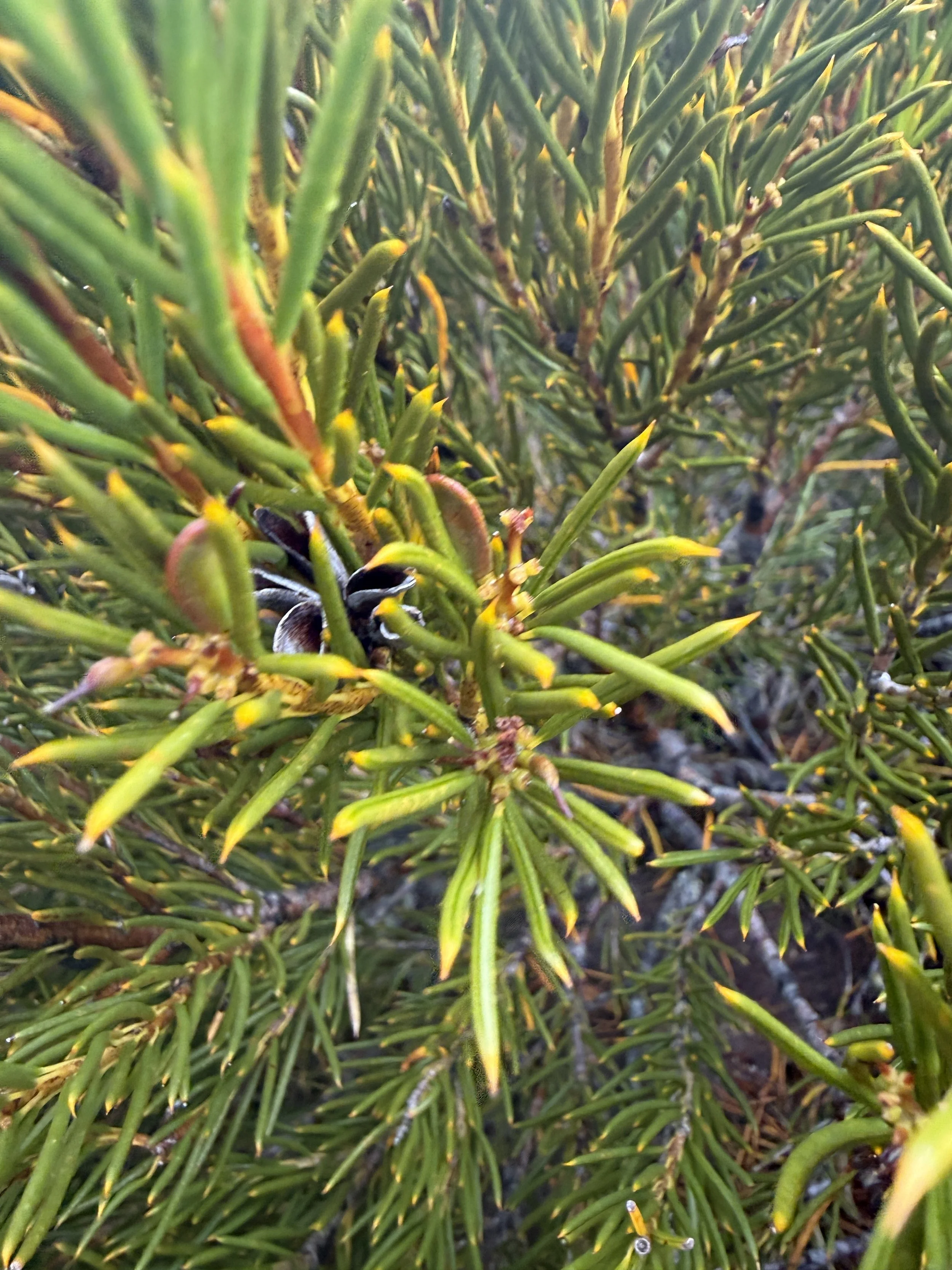 2026-02-22 12.44.13-1.jpg