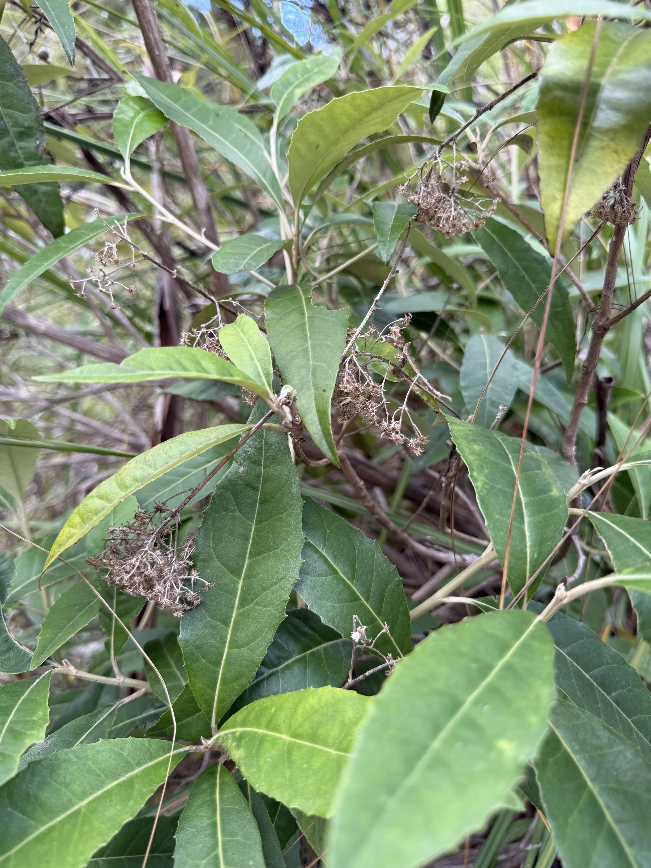 2026-02-28 14.45.20.jpg