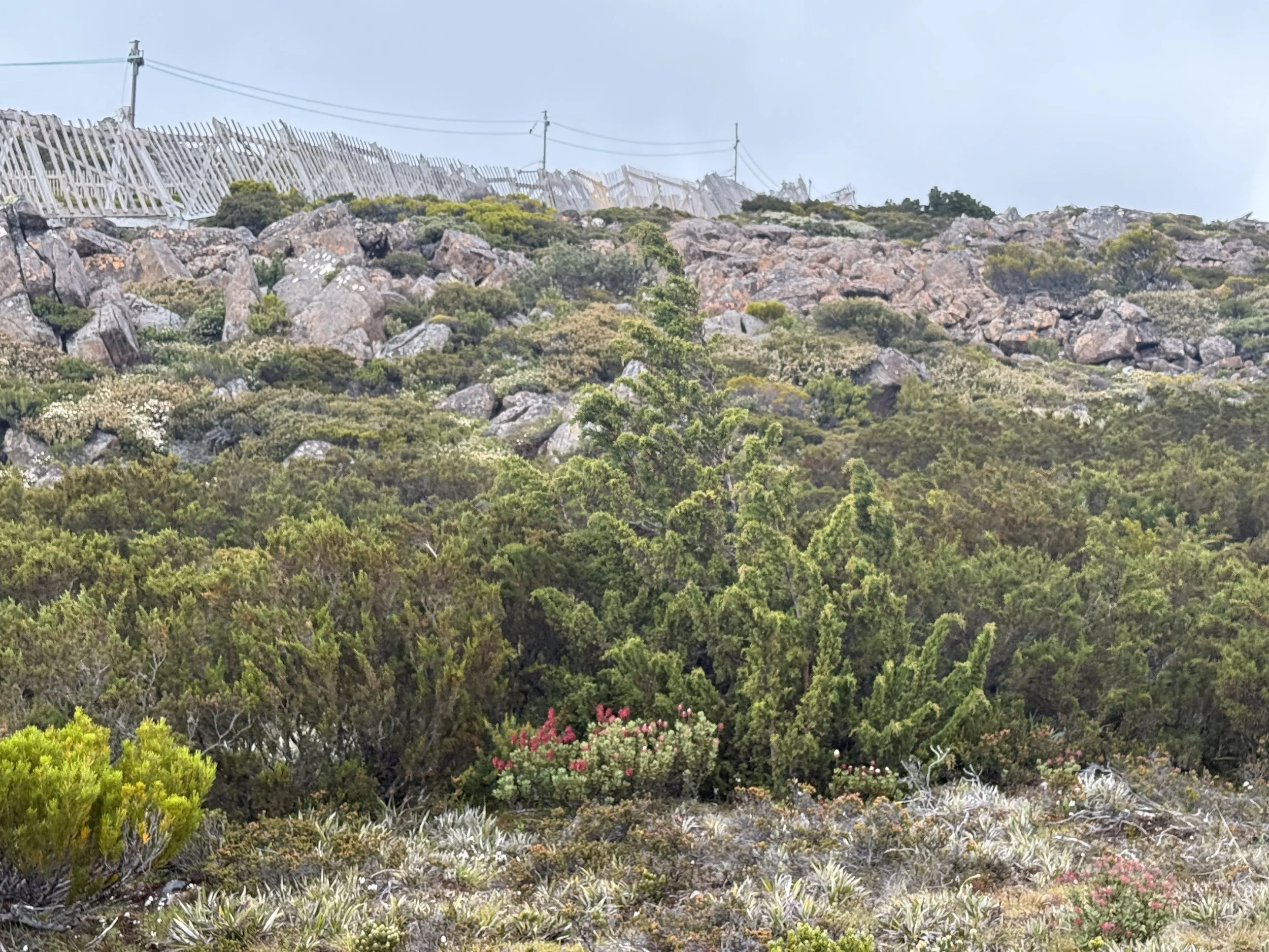 2026-02-22 12.49.29-1.jpg