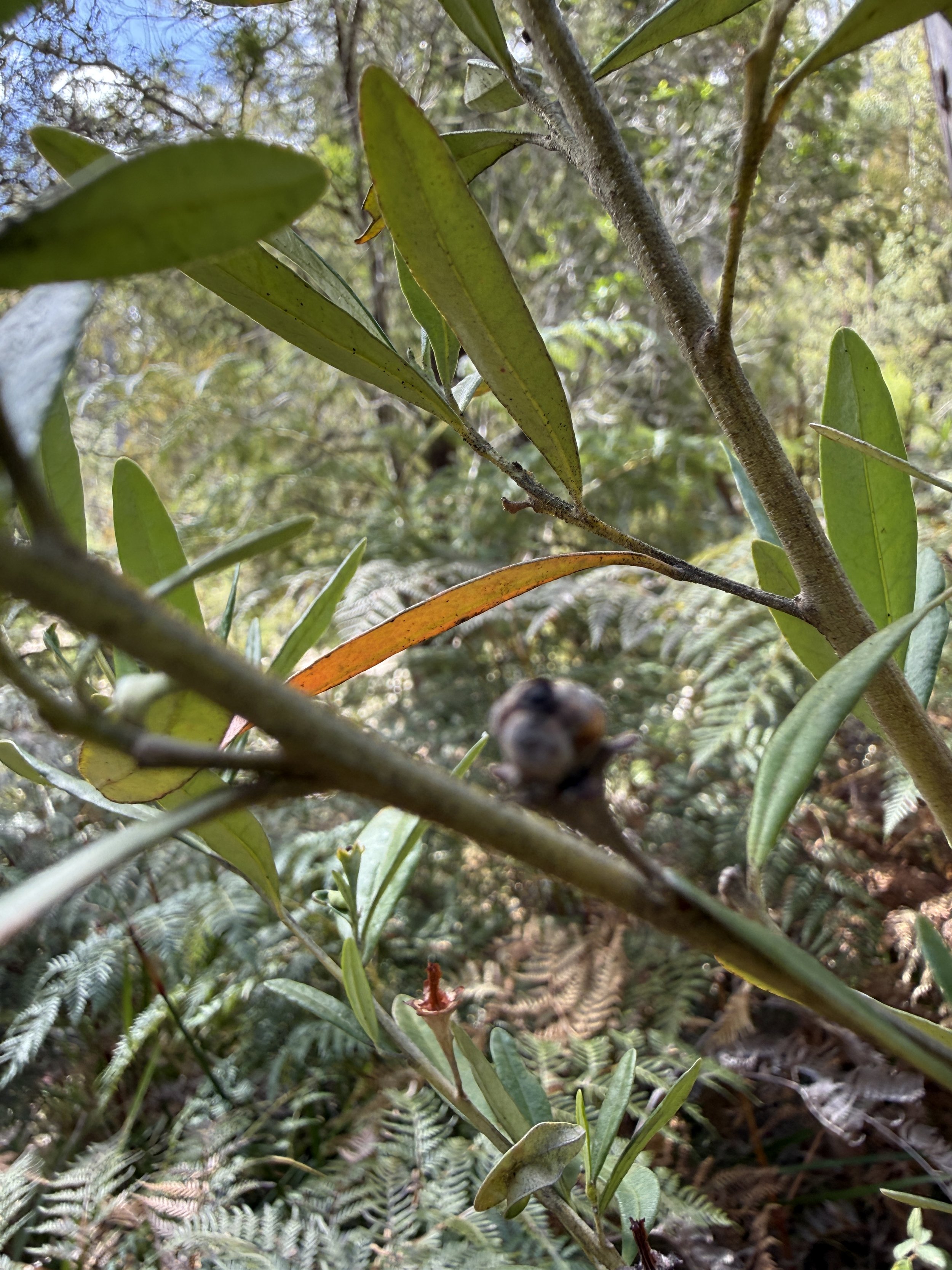 2026-02-28 15.18.49.jpg