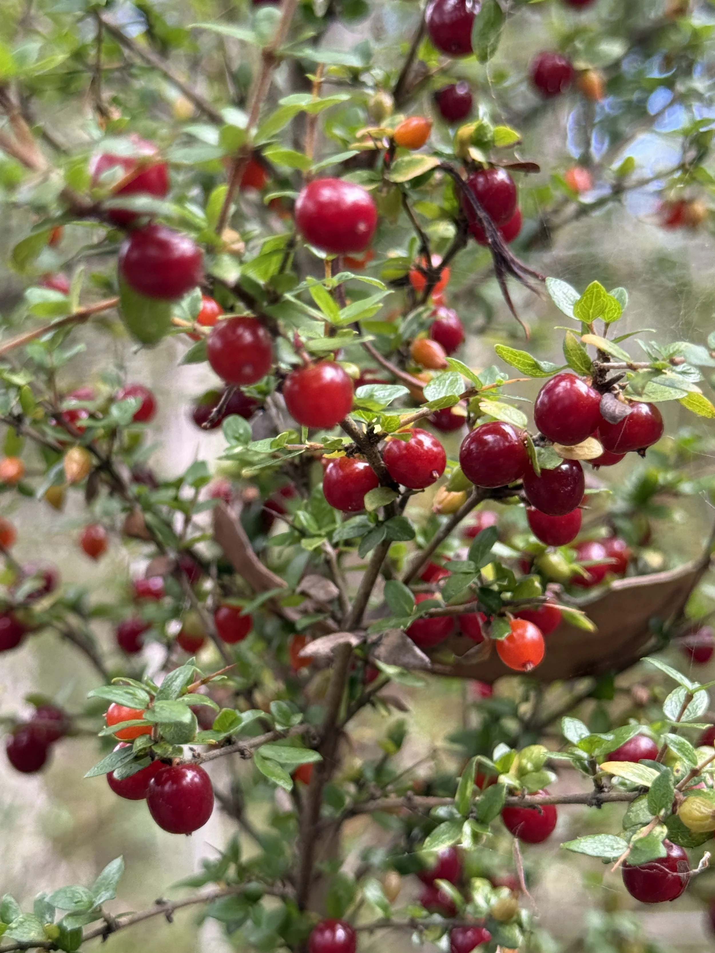 2026-02-28 14.34.51.jpg