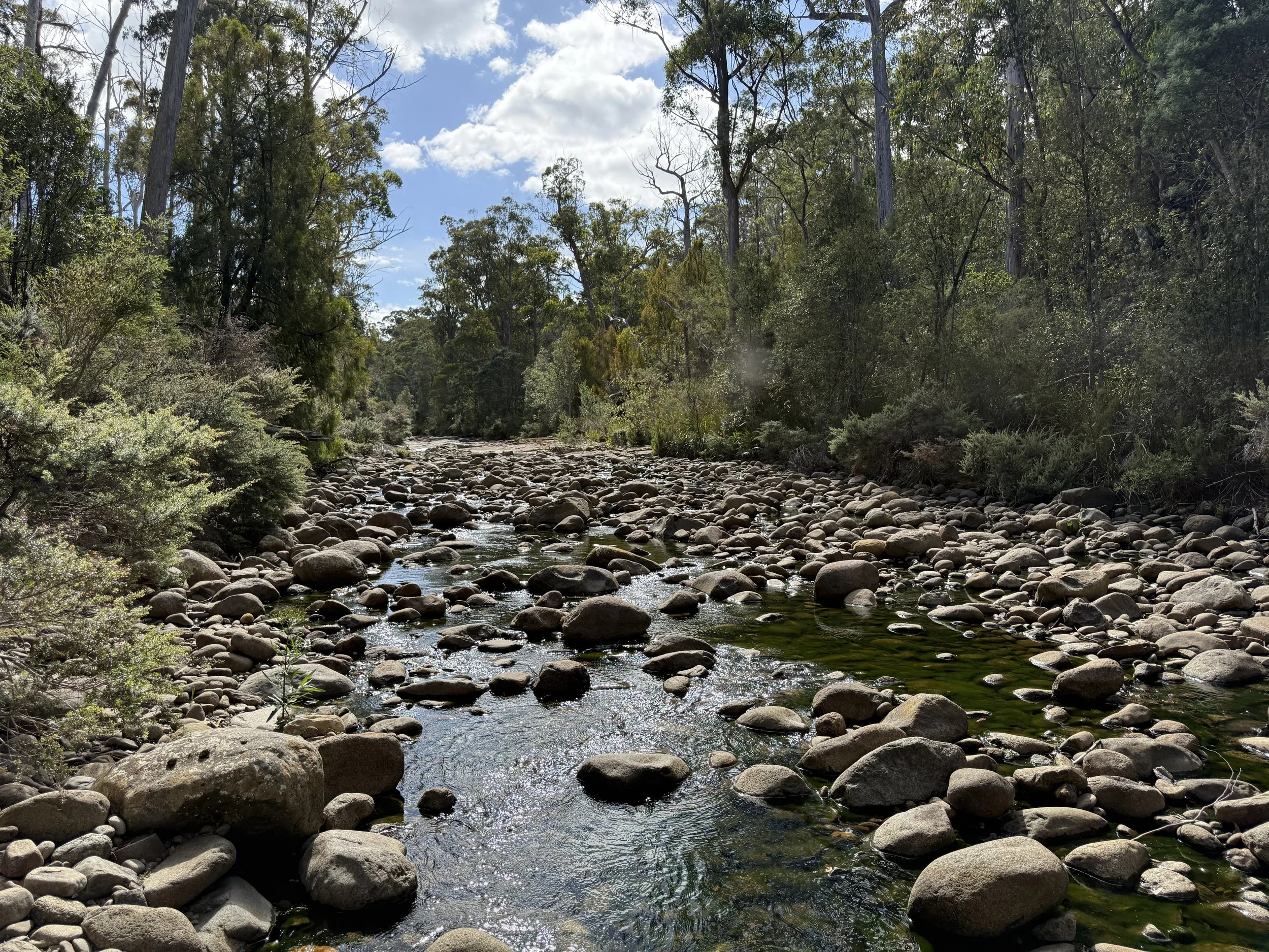 2026-02-28 15.20.55.jpg