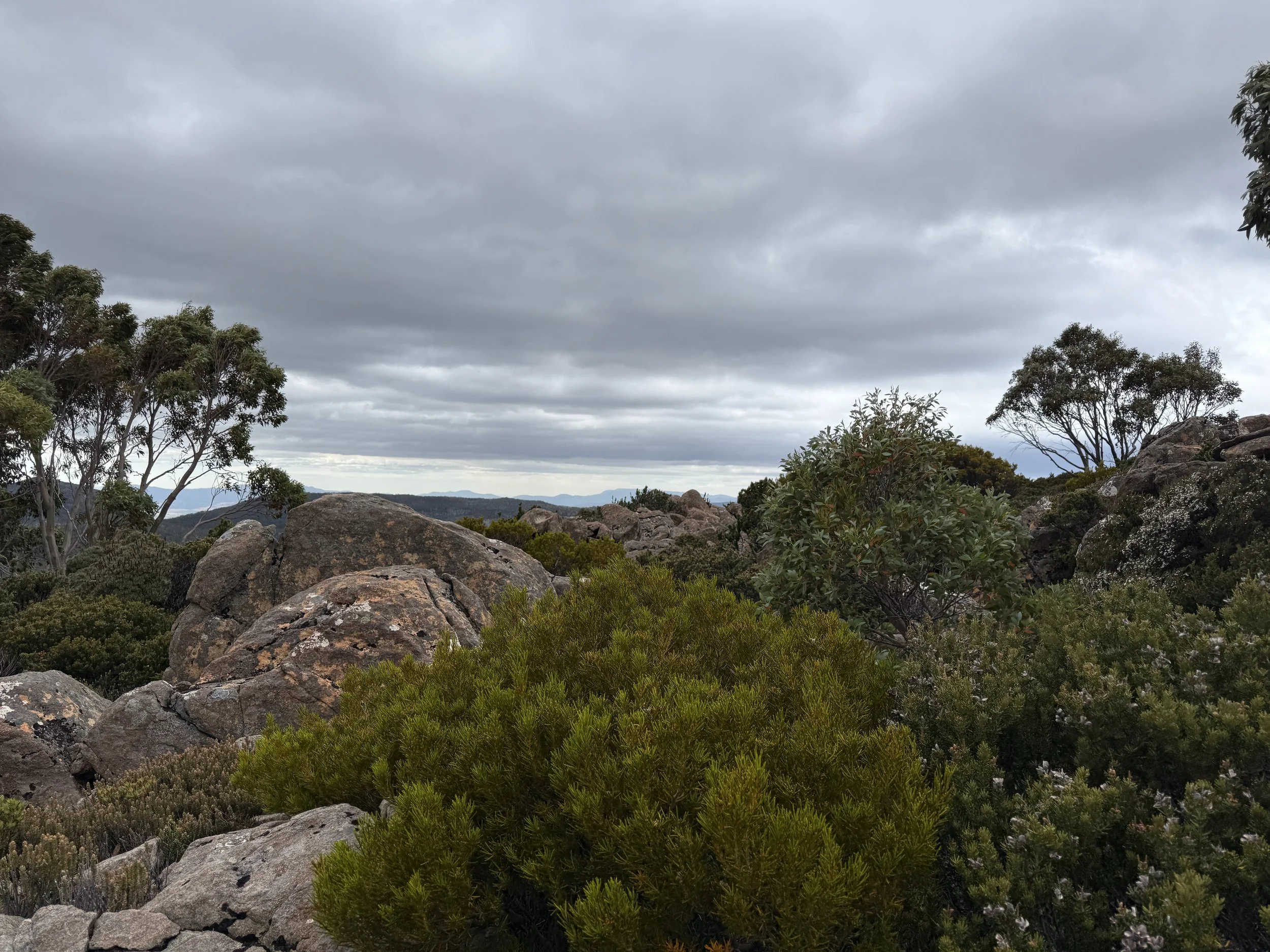 2026-02-22 11.47.11-1.jpg