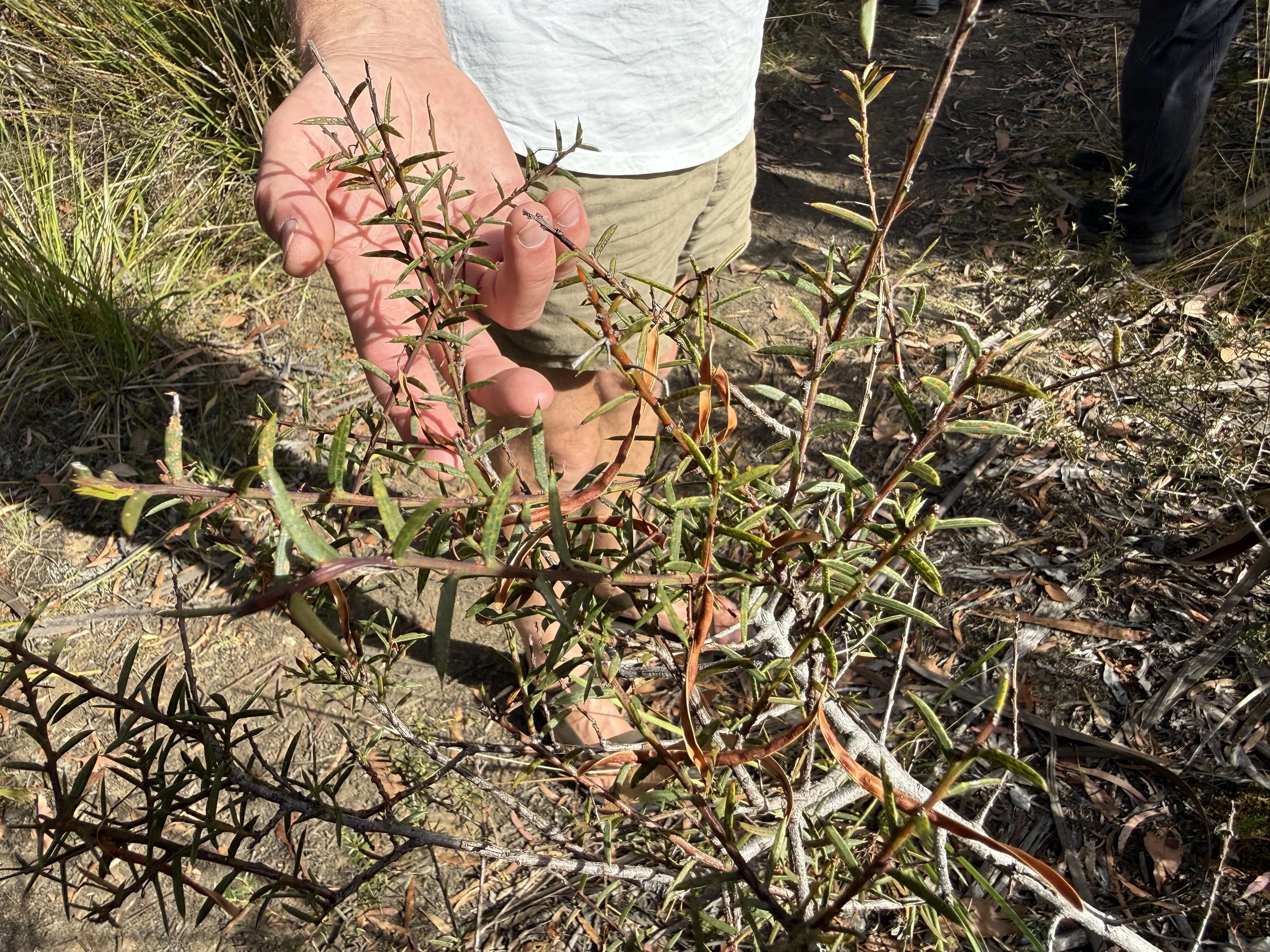 2026-02-28 16.43.57.jpg