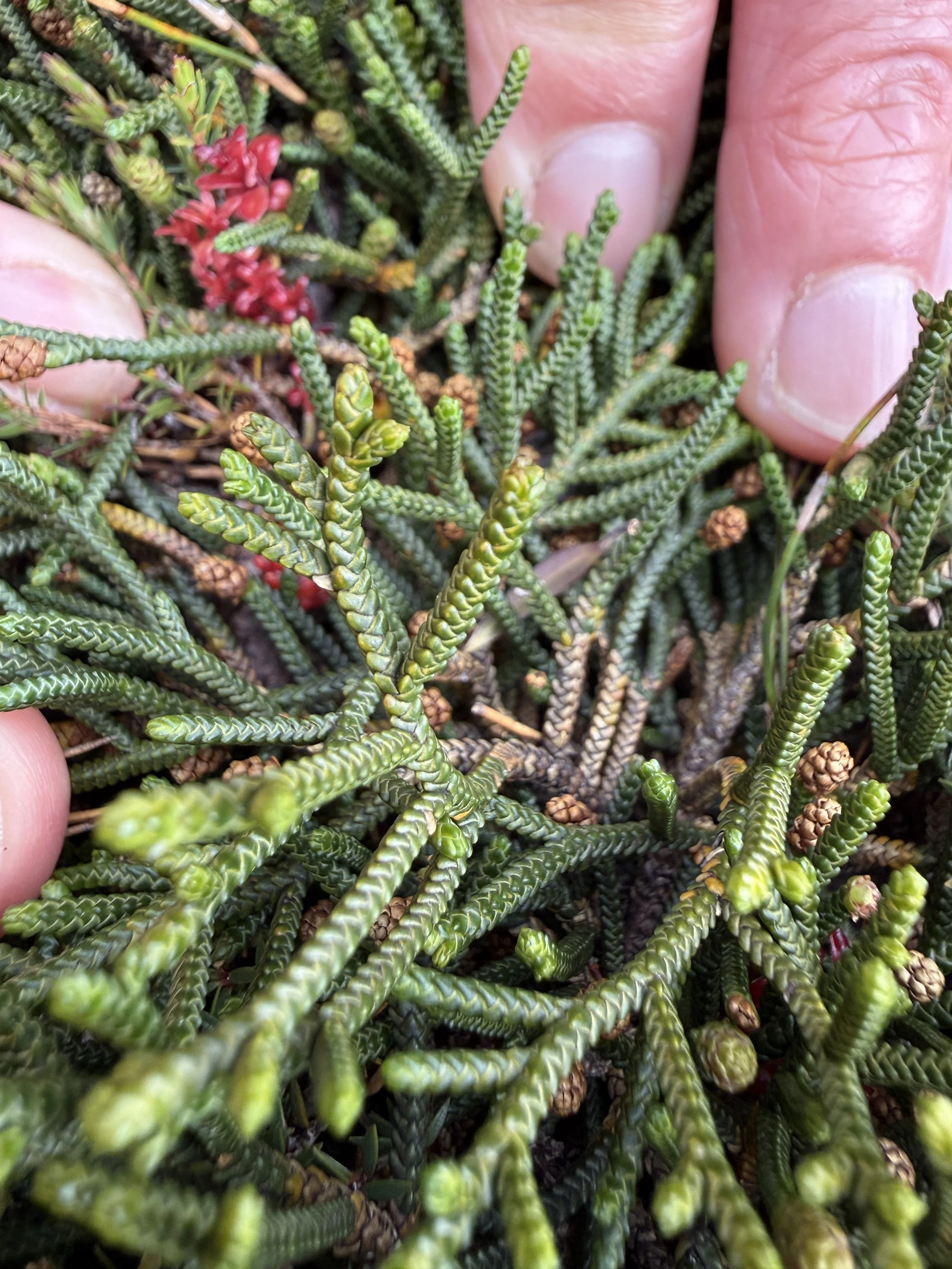 2026-02-22 12.04.53-1.jpg