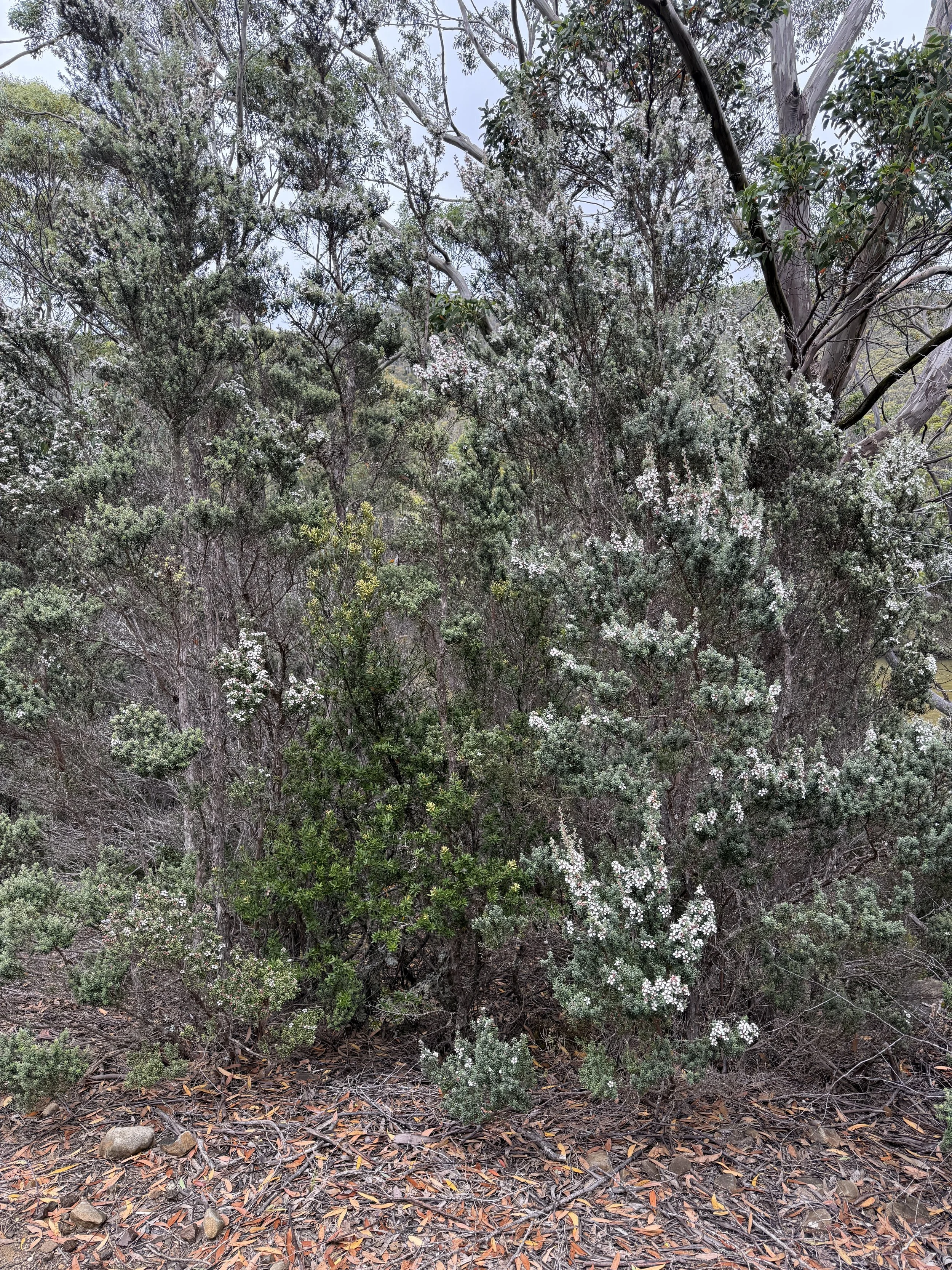 2026-02-22 13.46.07-1.jpg