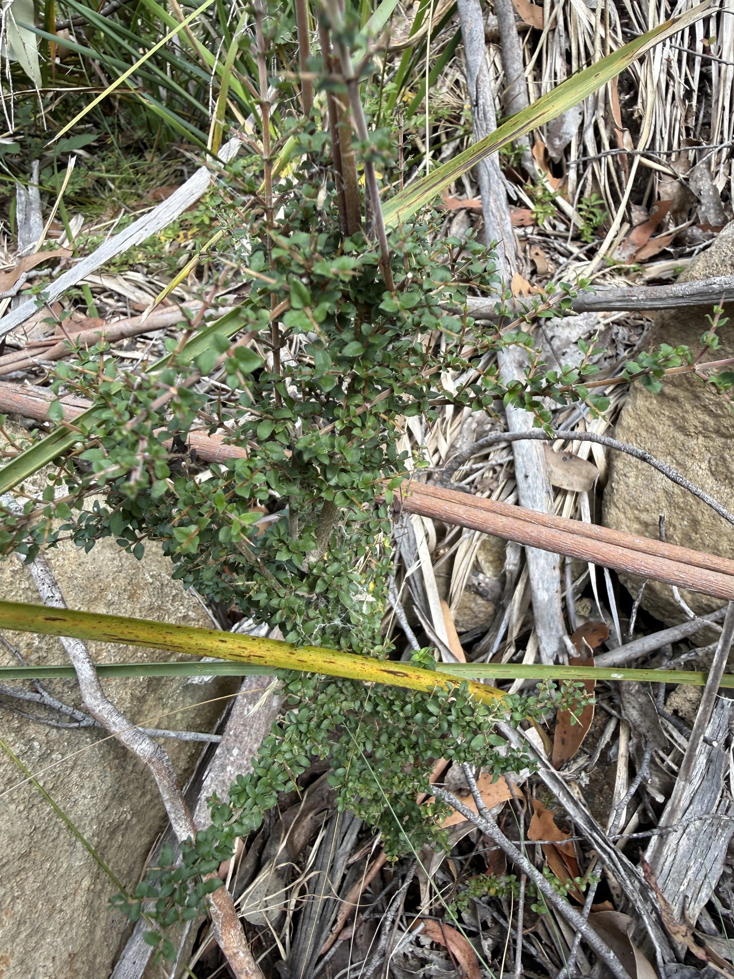 2026-02-28 14.16.48.jpg