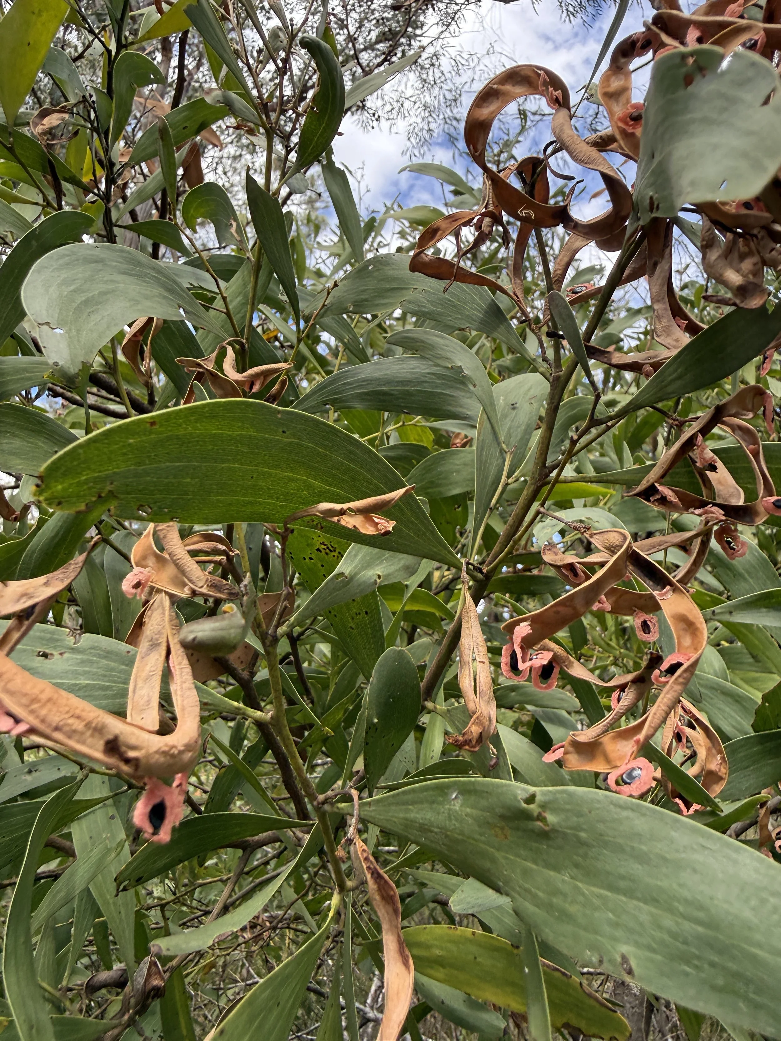 2026-02-28 14.45.54.jpg