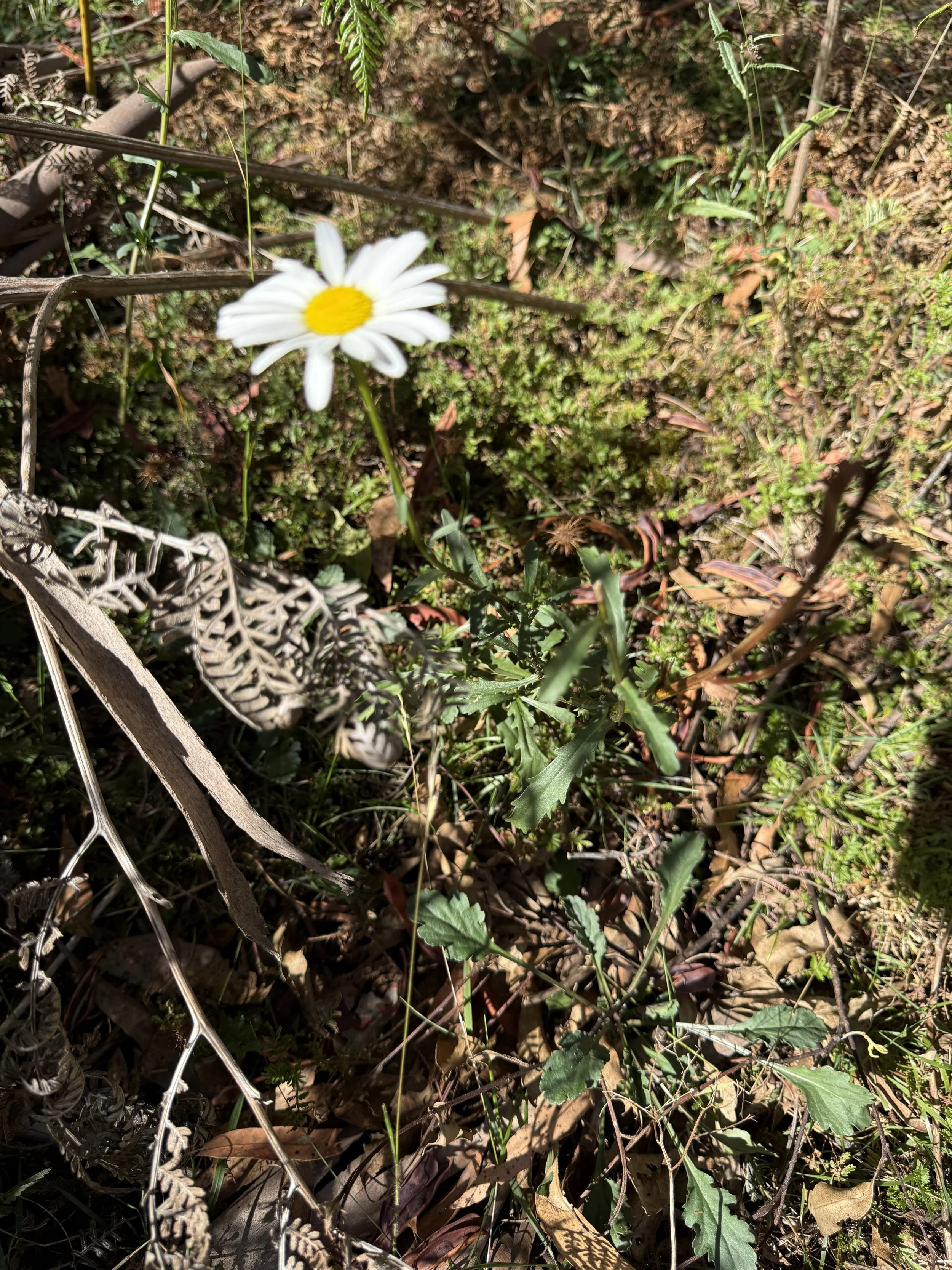 2026-02-28 15.37.07.jpg