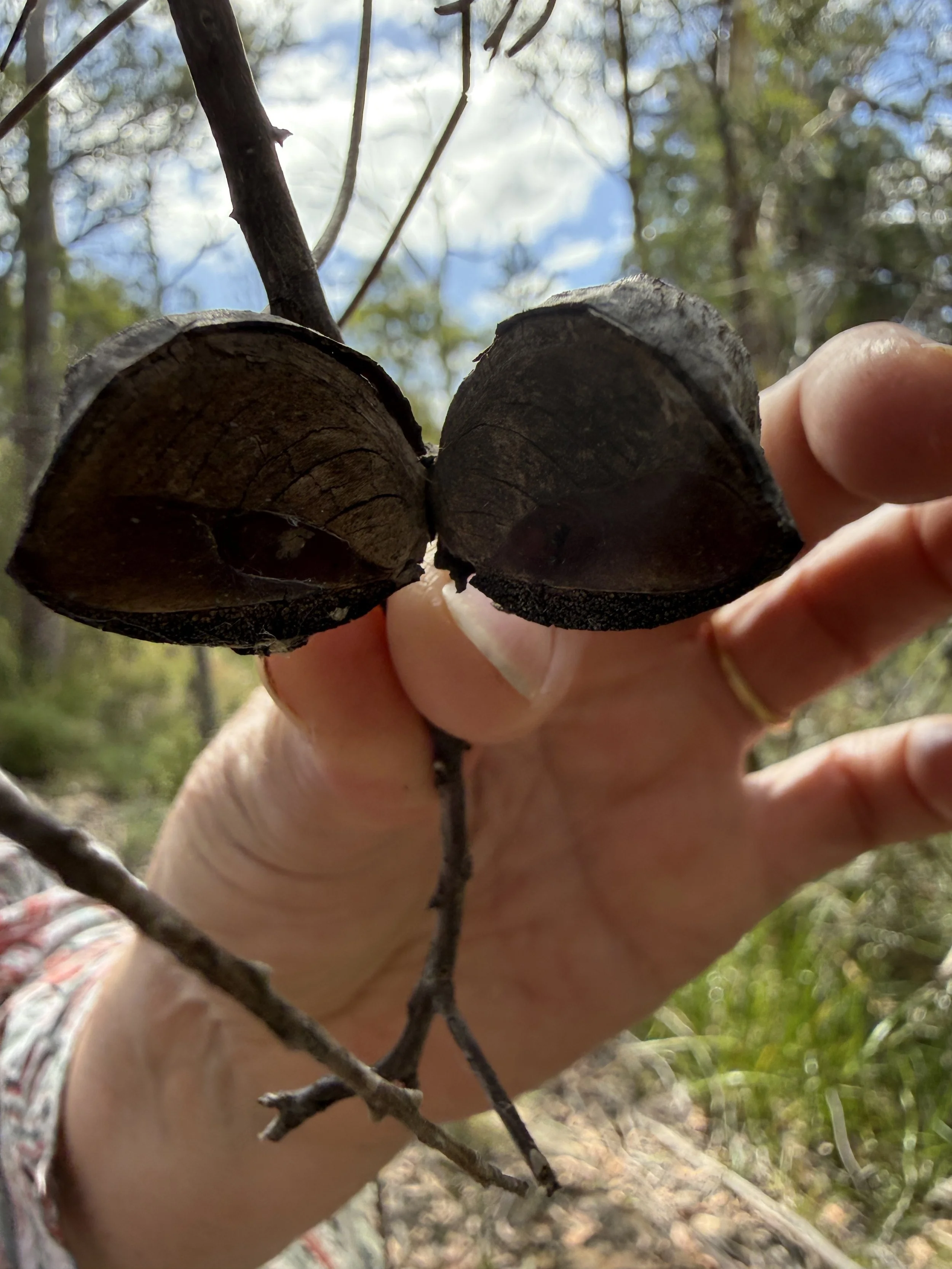 2026-02-28 15.06.51.jpg