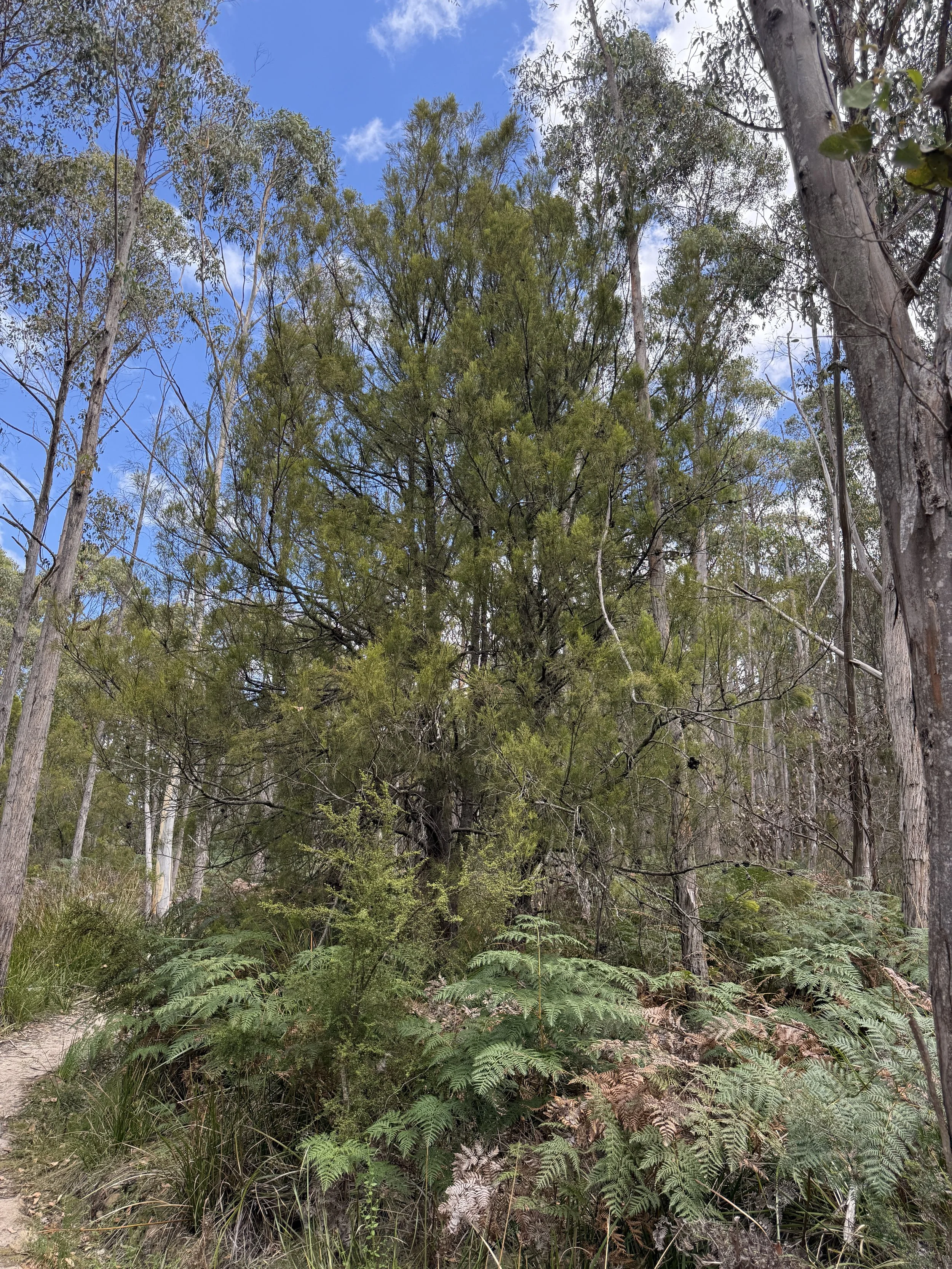 2026-02-28 14.25.23.jpg