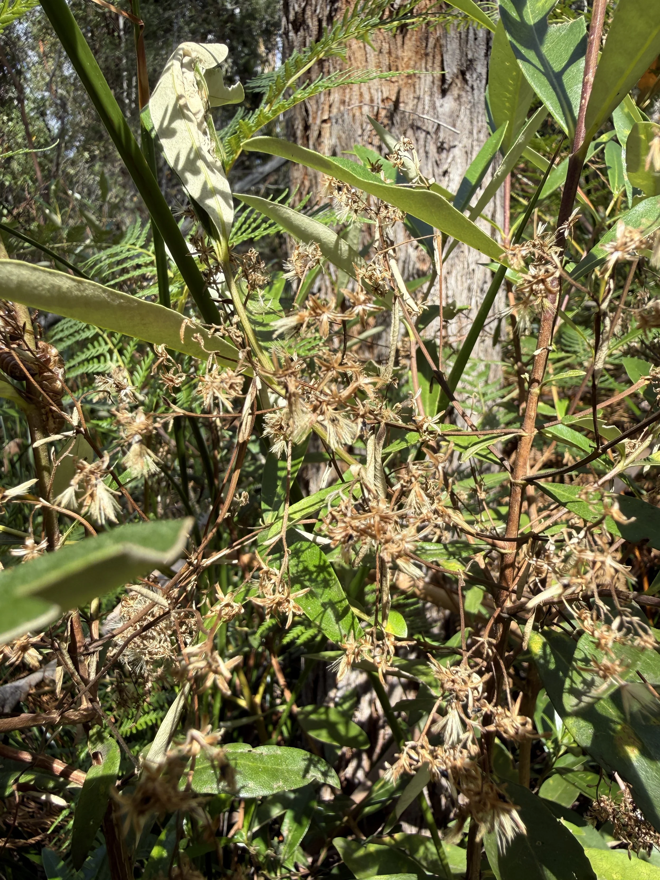 2026-02-28 15.10.16.jpg