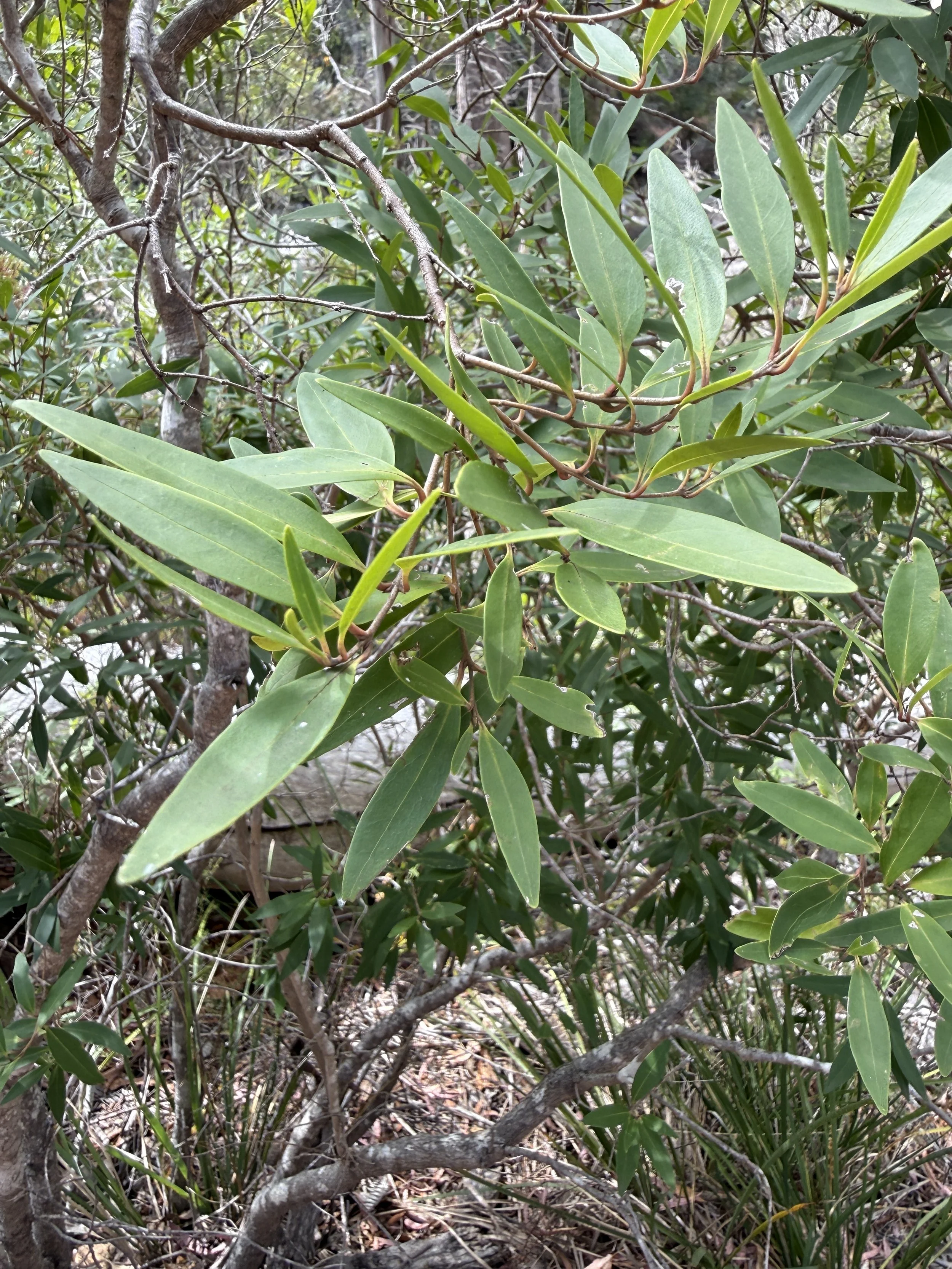 2026-02-28 15.01.38.jpg