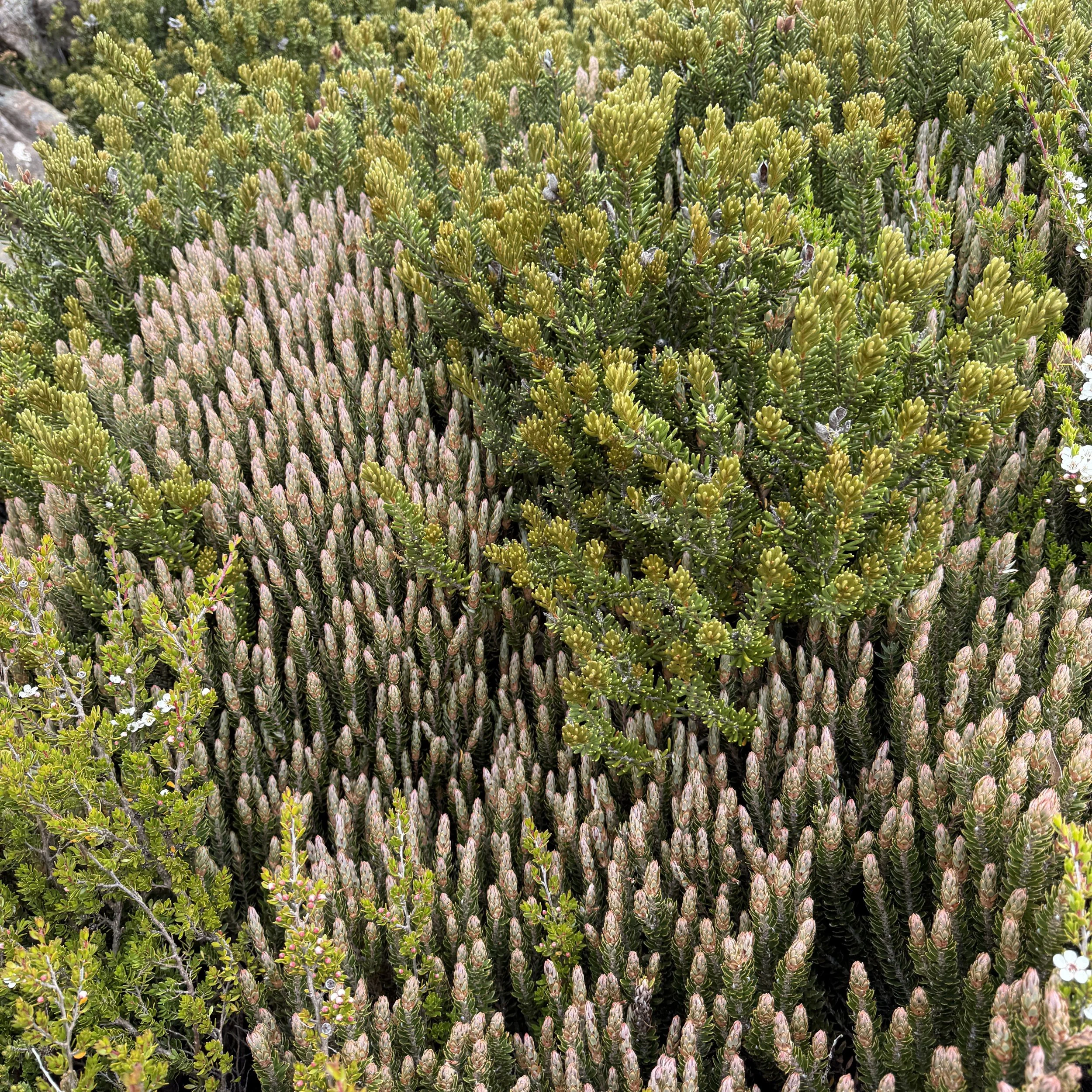 2026-02-22 11.42.03-2.jpg