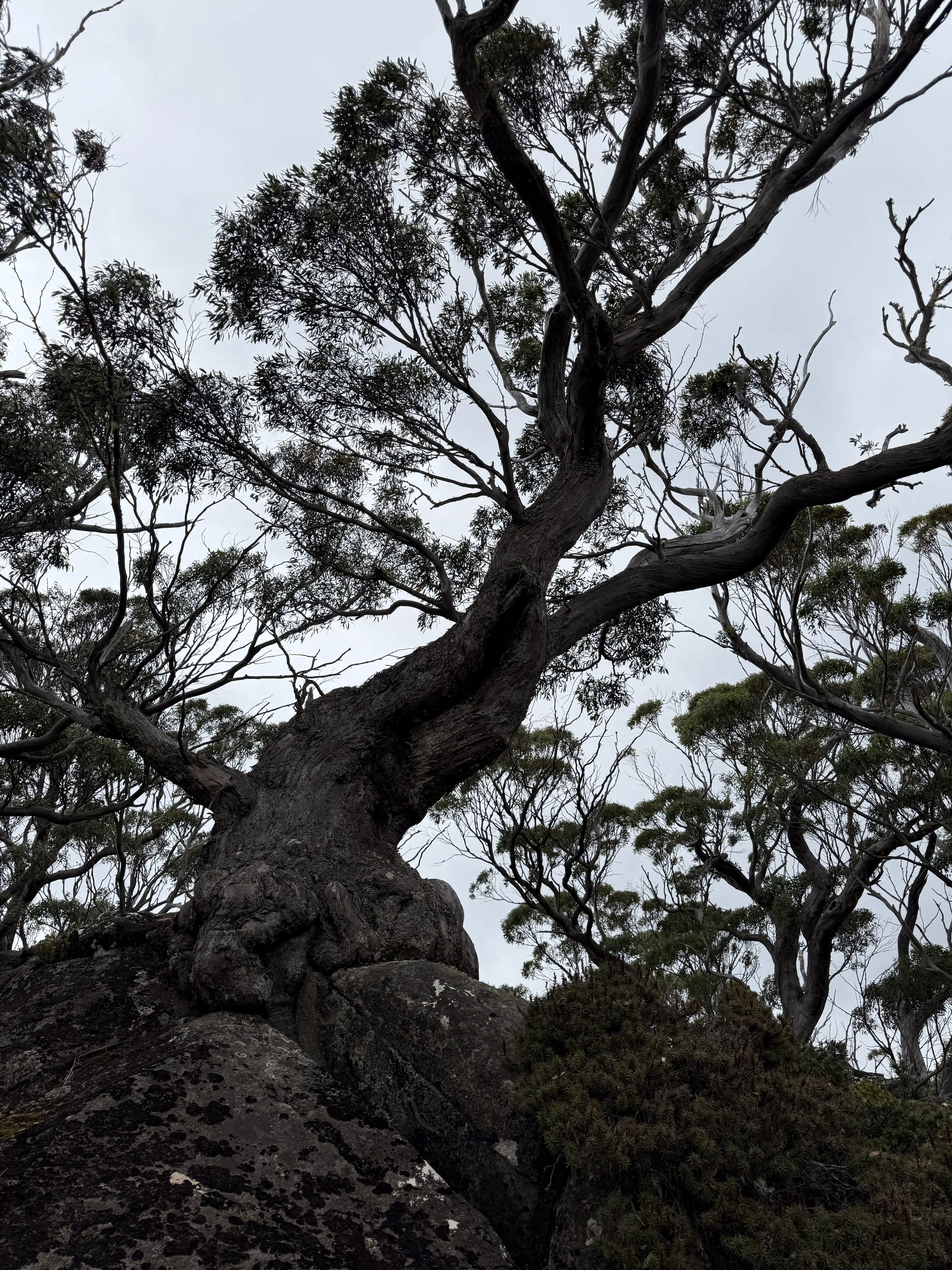 2026-02-22 11.22.02-1.jpg