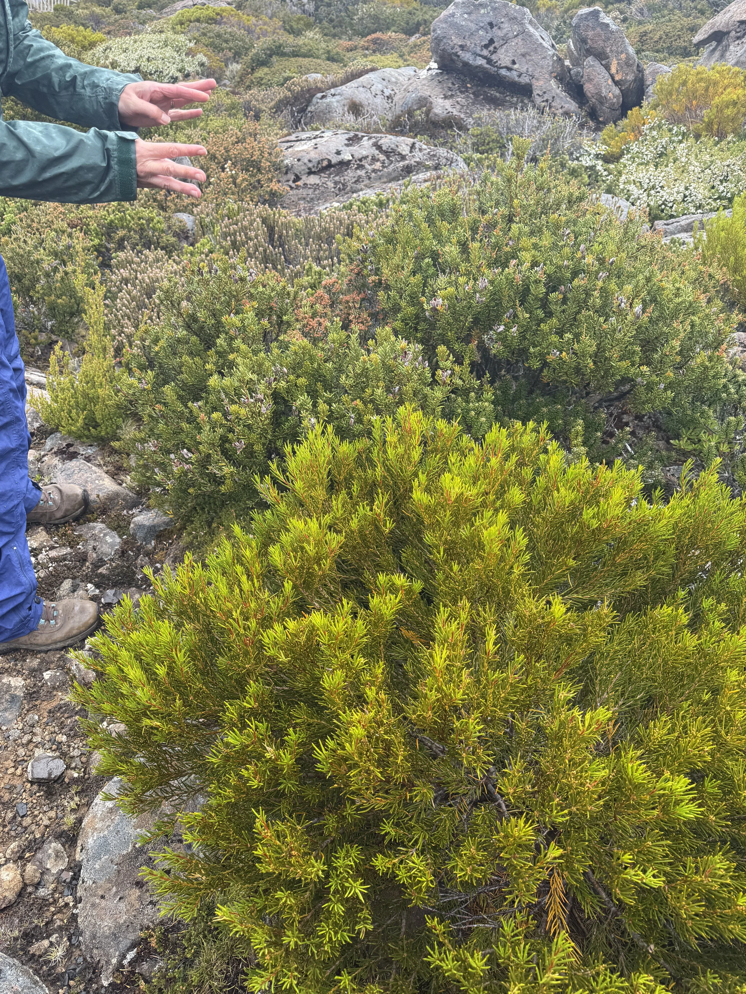 2026-02-22 12.45.15-1.jpg