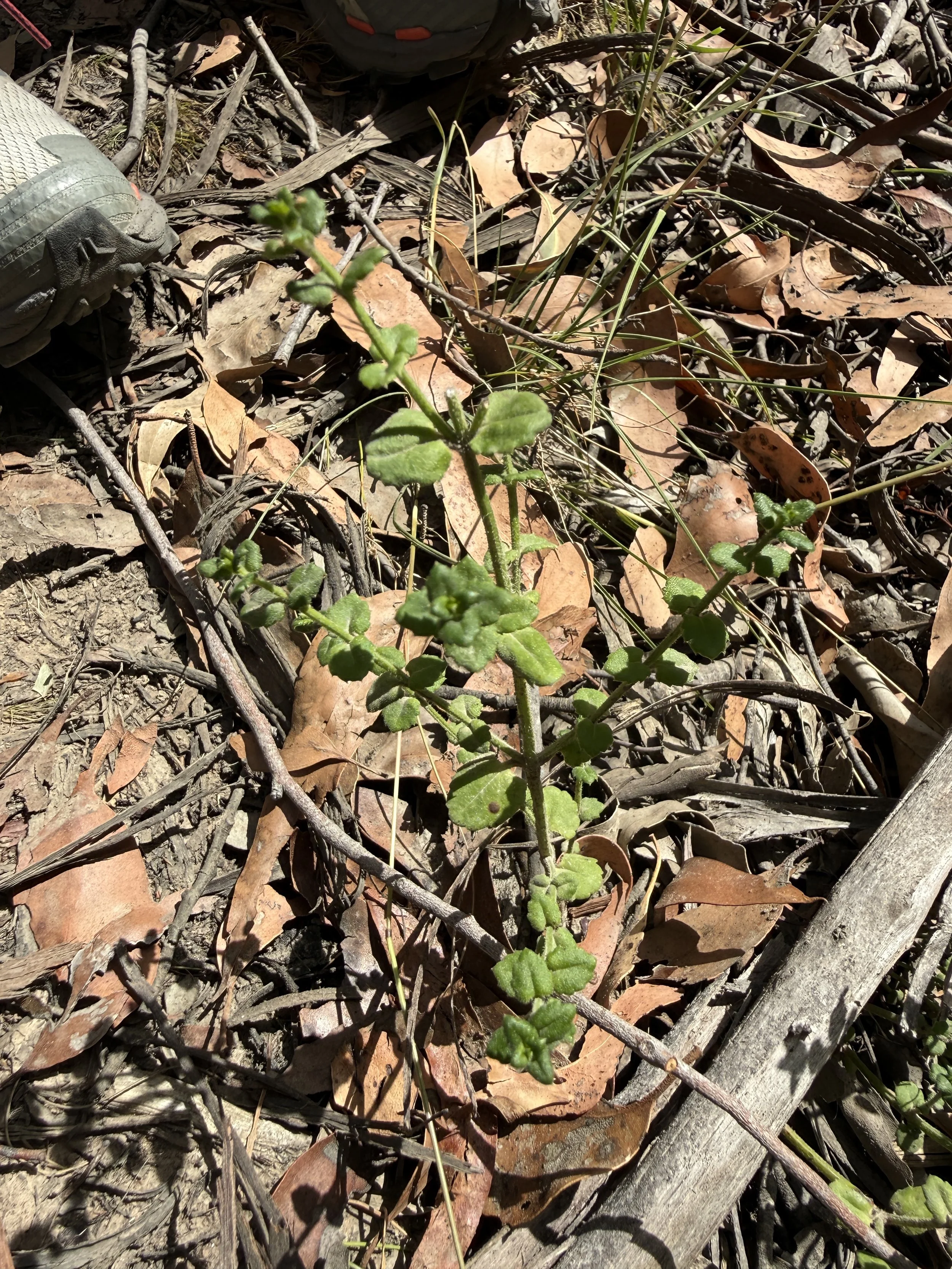 2026-02-28 14.18.38.jpg