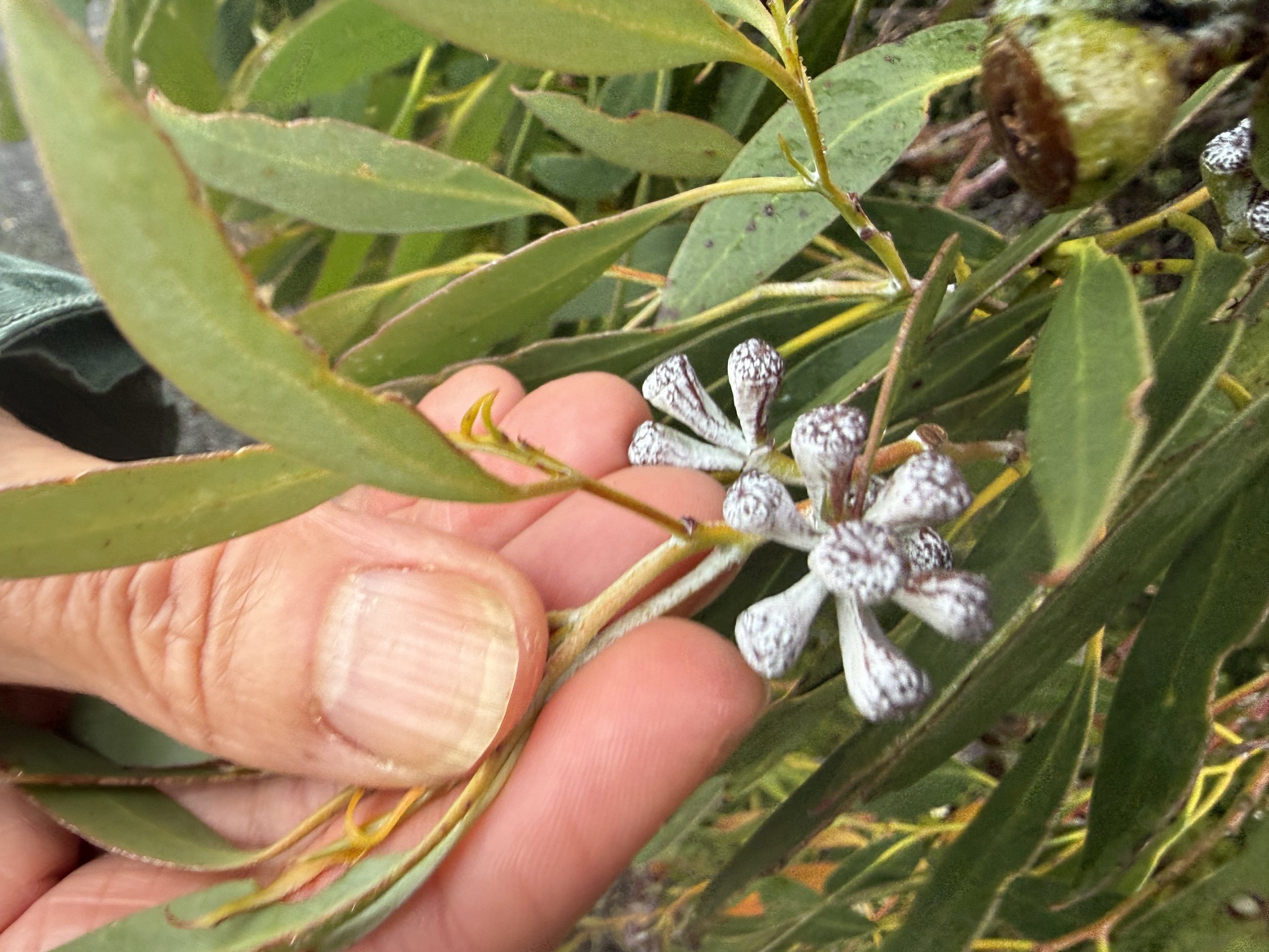 2026-02-22 12.42.46-1.jpg