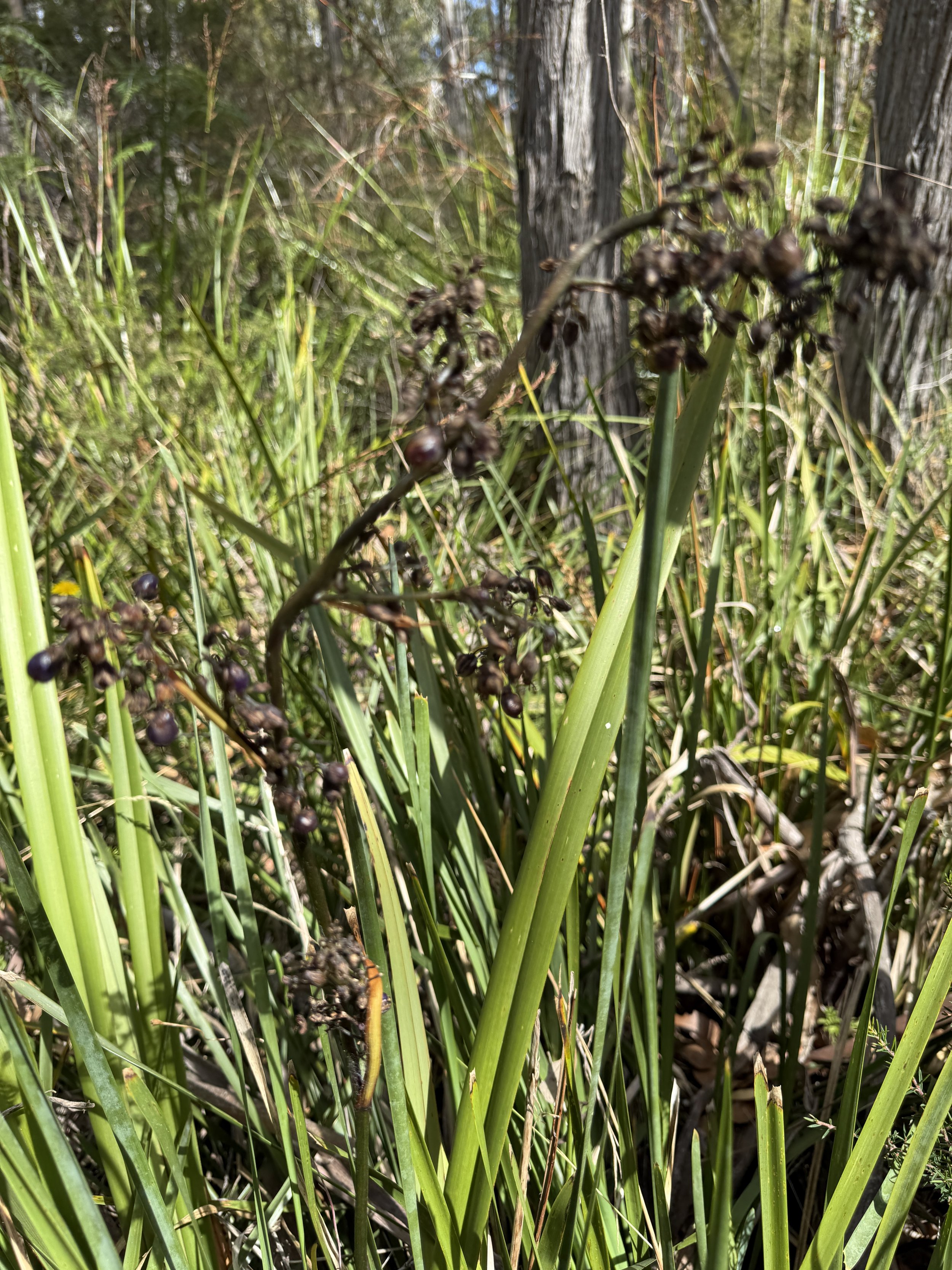 2026-02-28 14.18.07.jpg