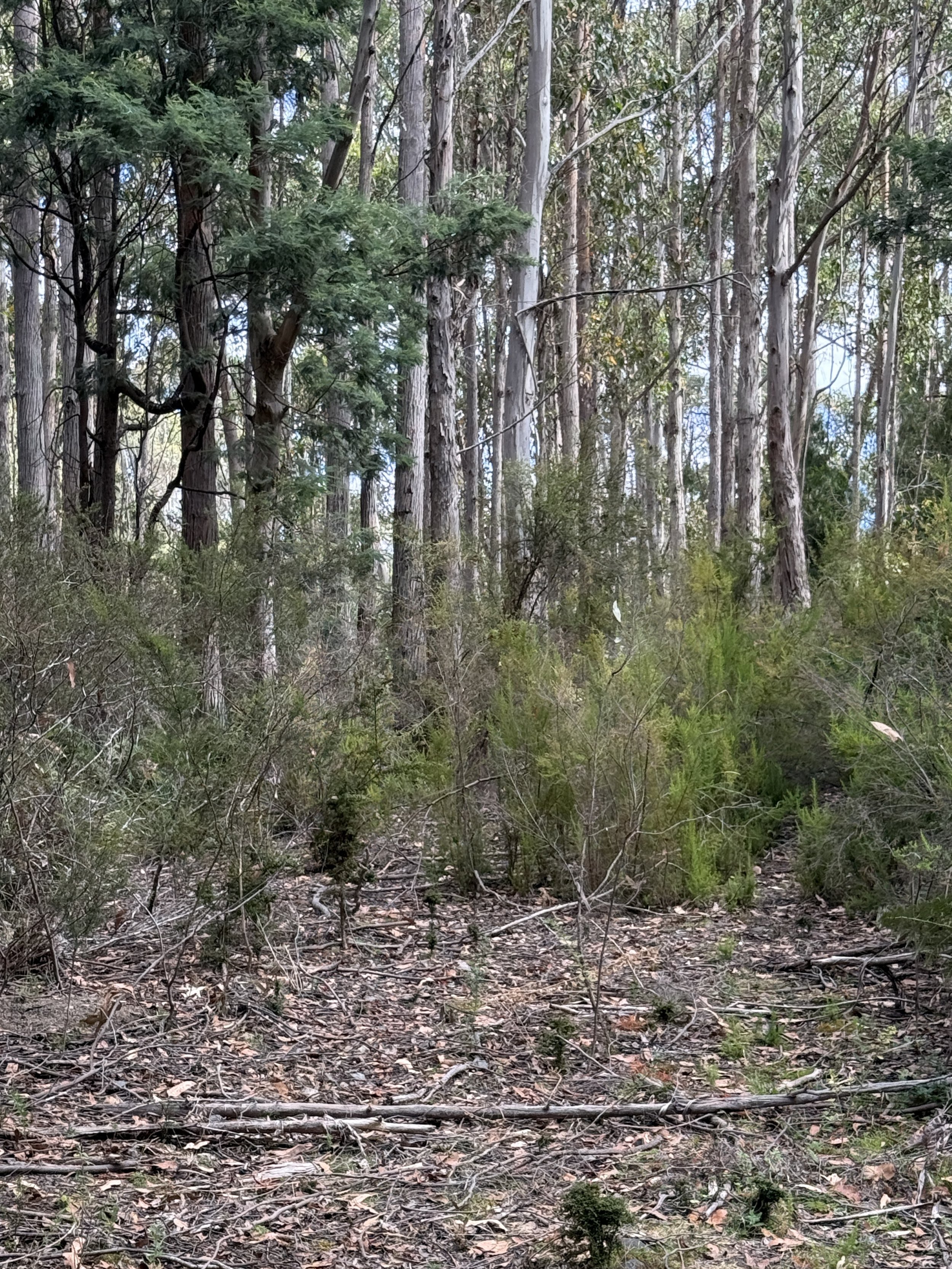 2026-02-28 14.33.45.jpg