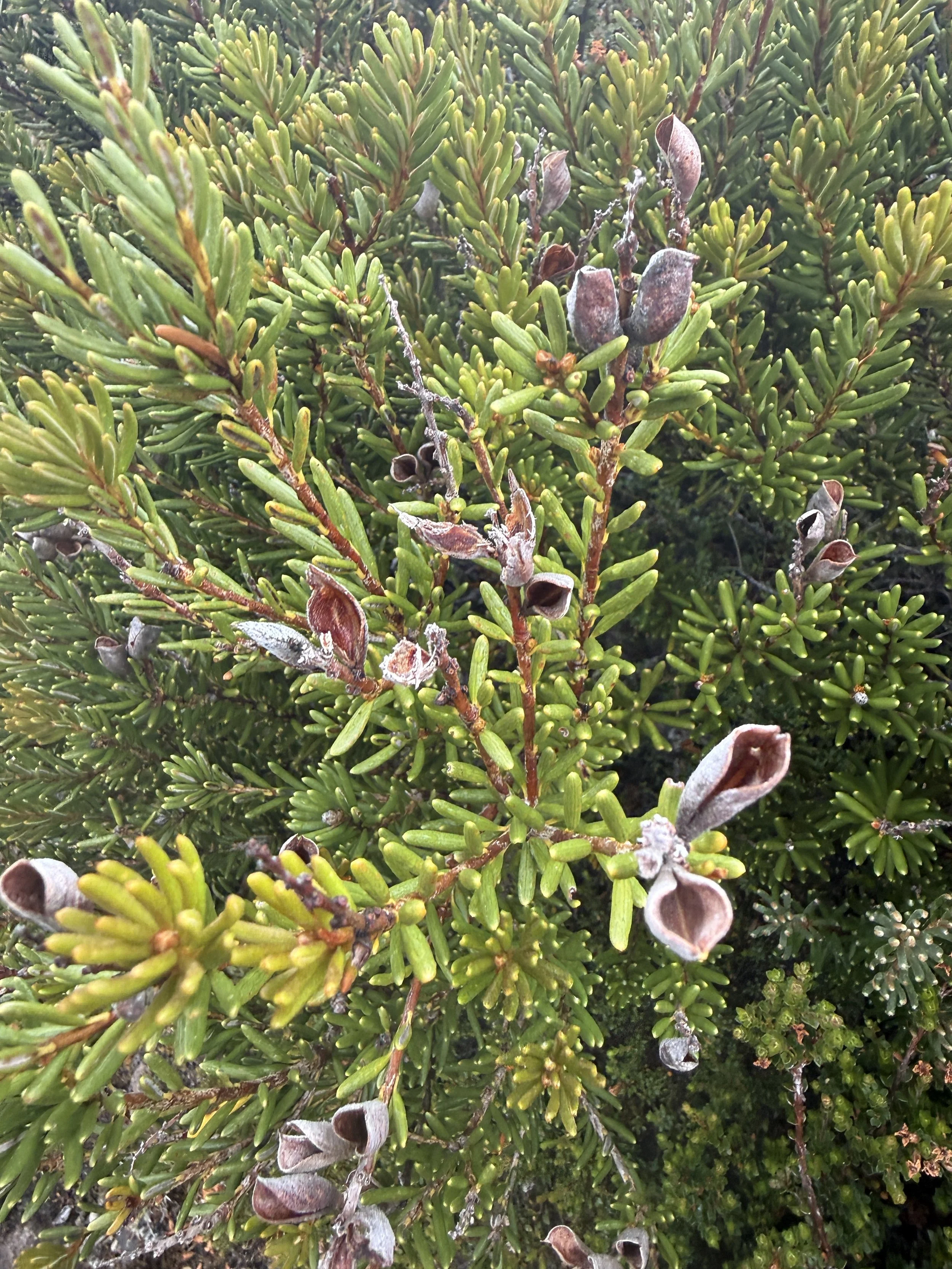 2026-02-22 12.44.29-1.jpg