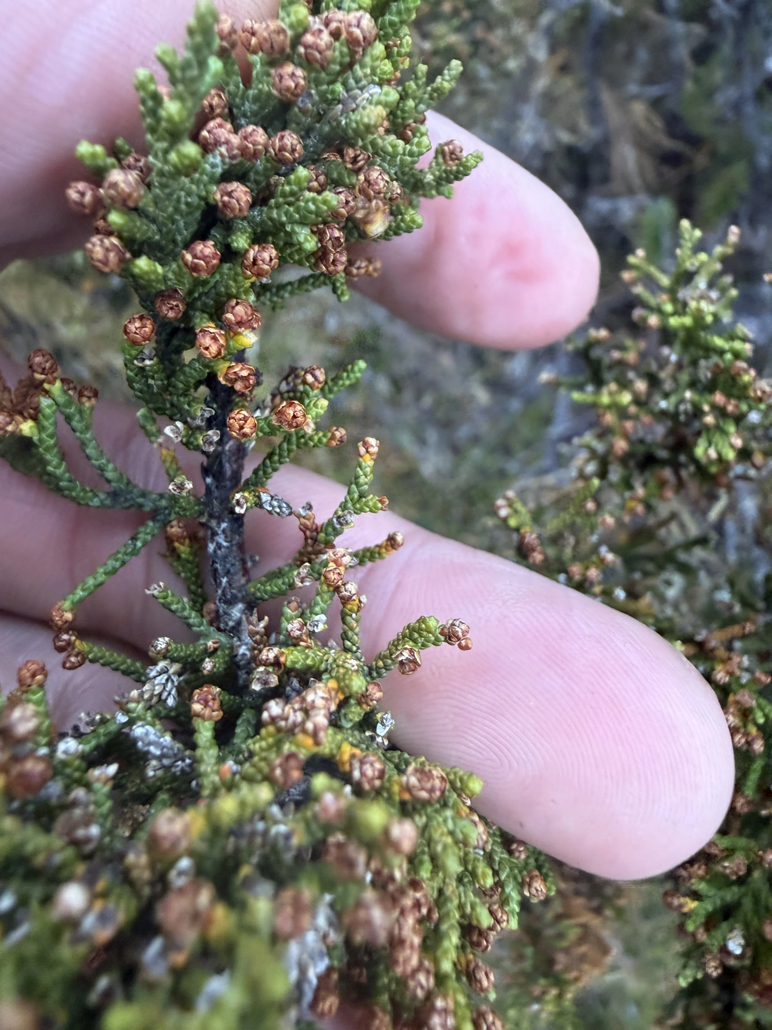 2026-02-22 12.41.51-1.jpg