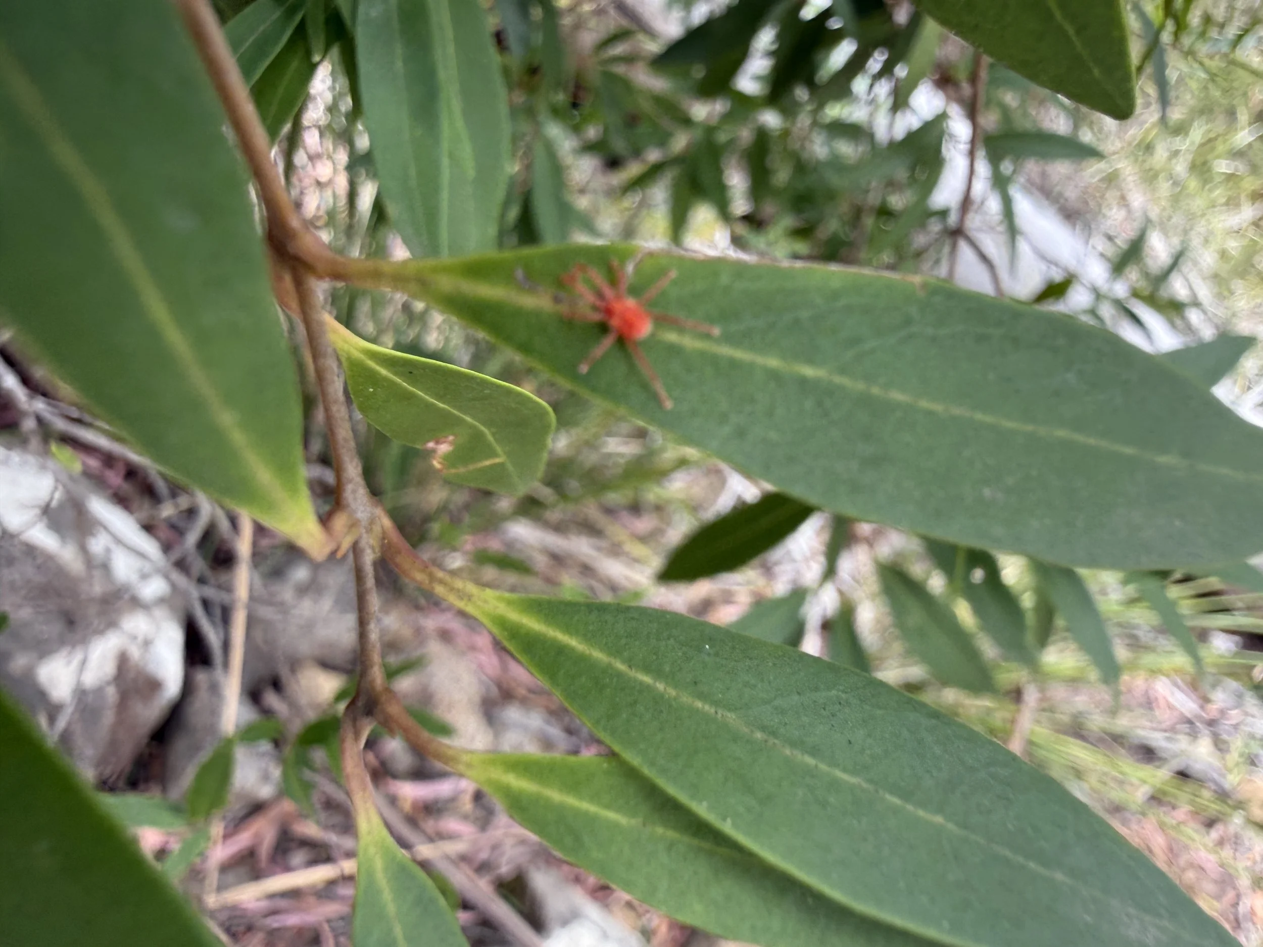 2026-02-28 15.02.45.jpg