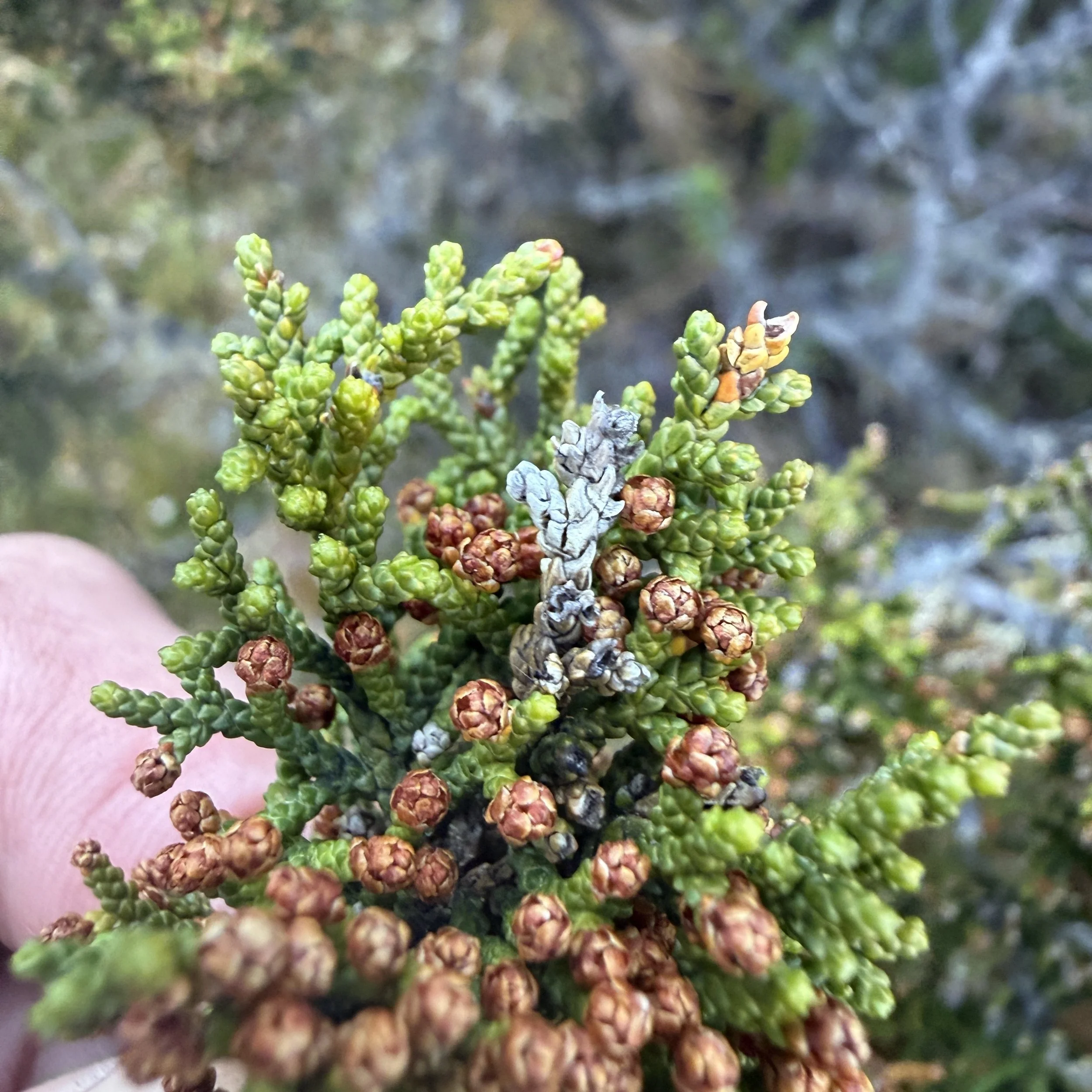 2026-02-22 12.41.46-2.jpg