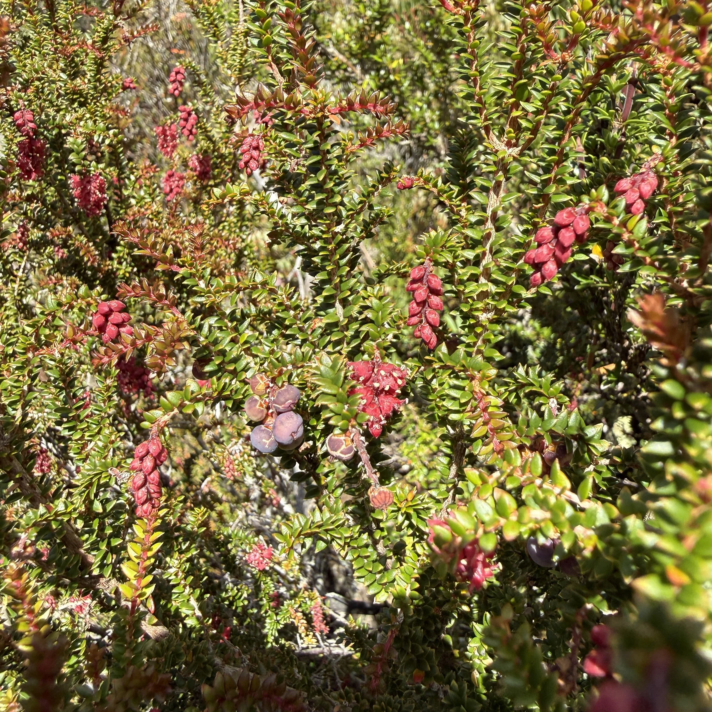 2026-02-22 10.35.00-2.jpg