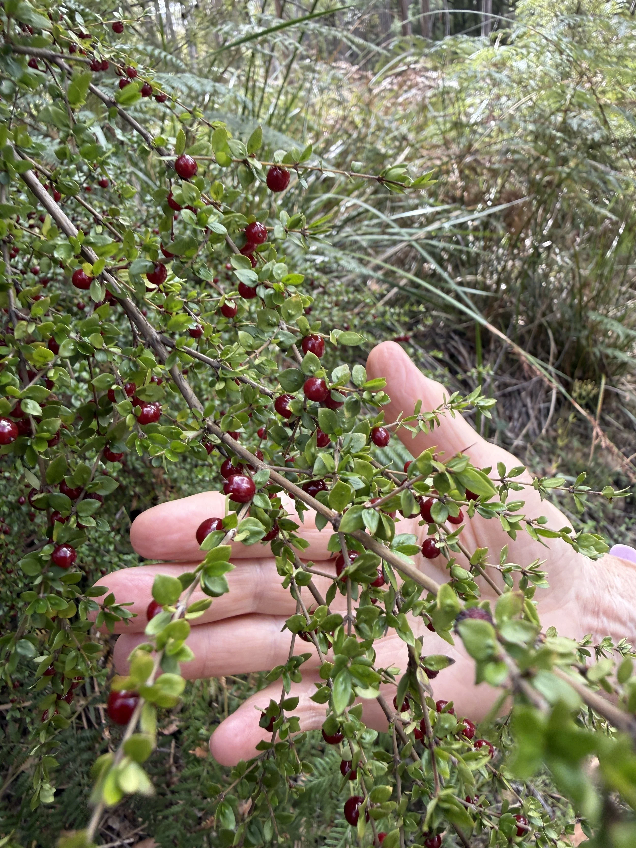 2026-02-28 14.22.33.jpg