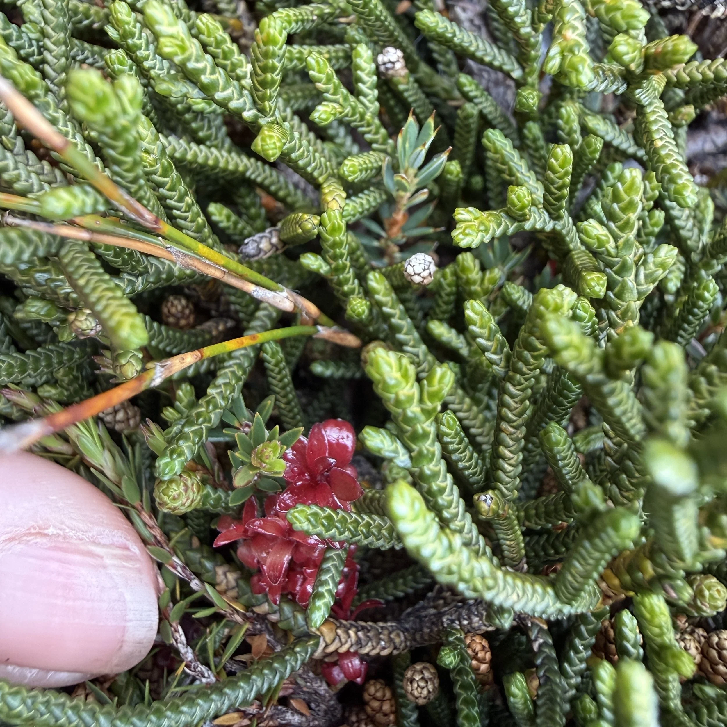 2026-02-22 12.05.02-2.jpg