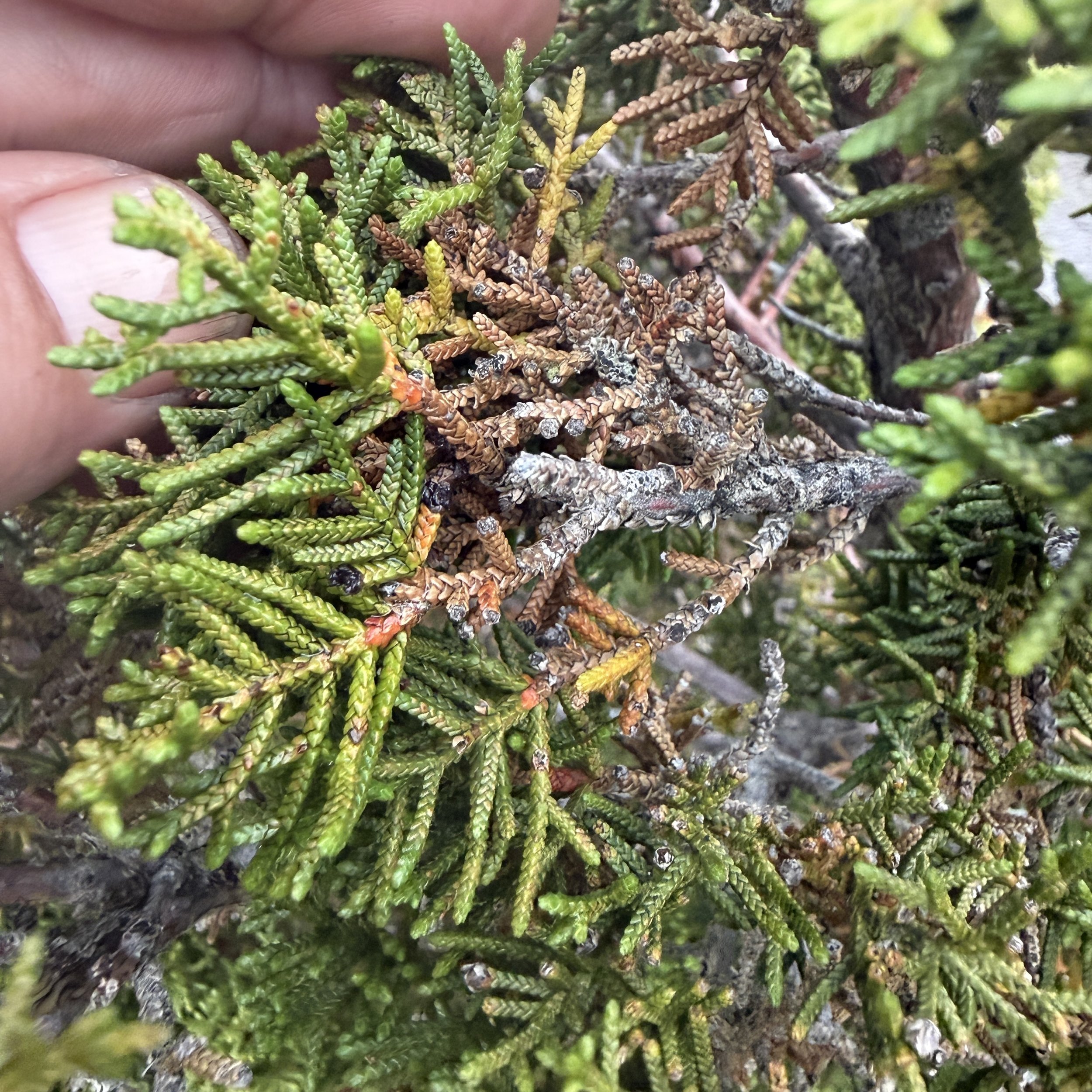 2026-02-22 12.42.08-2.jpg