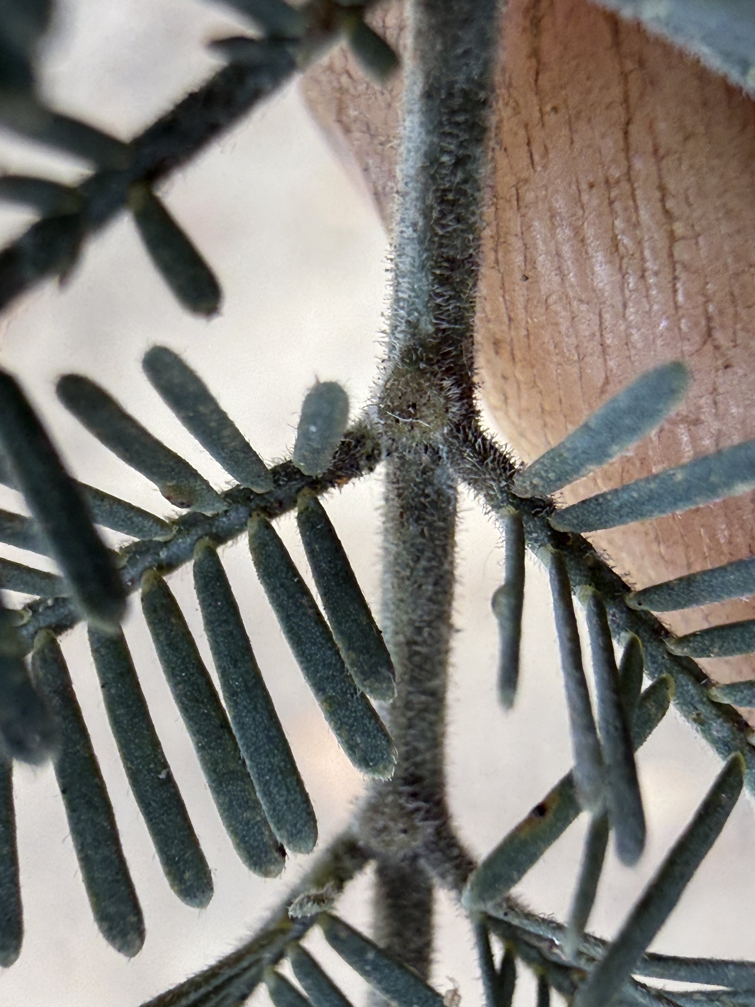 2026-02-28 14.43.21.jpg