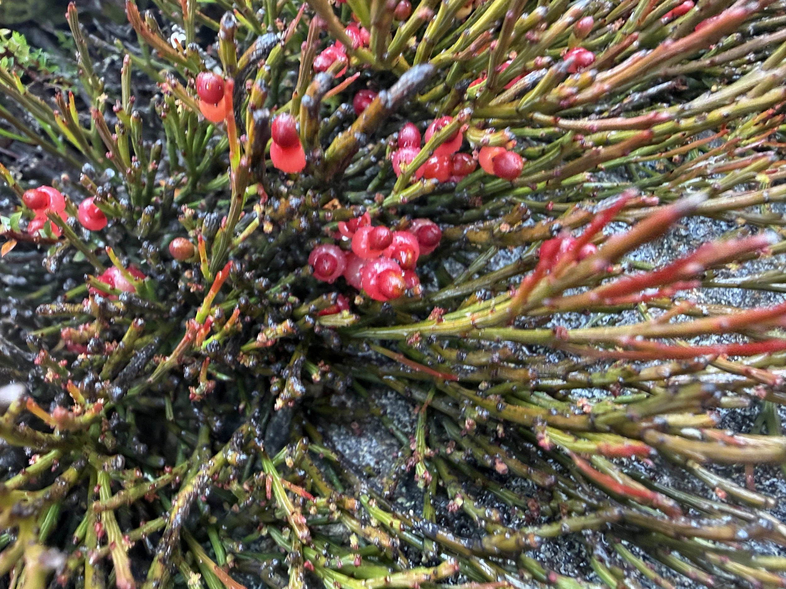 2026-02-22 12.47.25-1.jpg