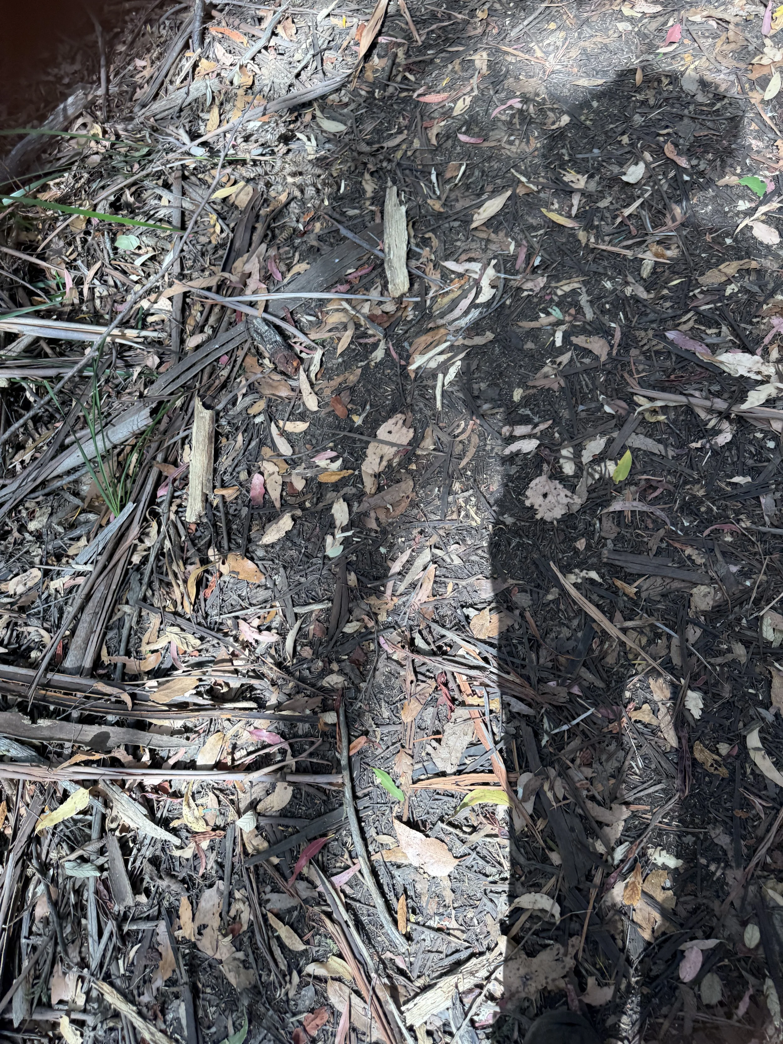 2026-02-28 15.21.29.jpg