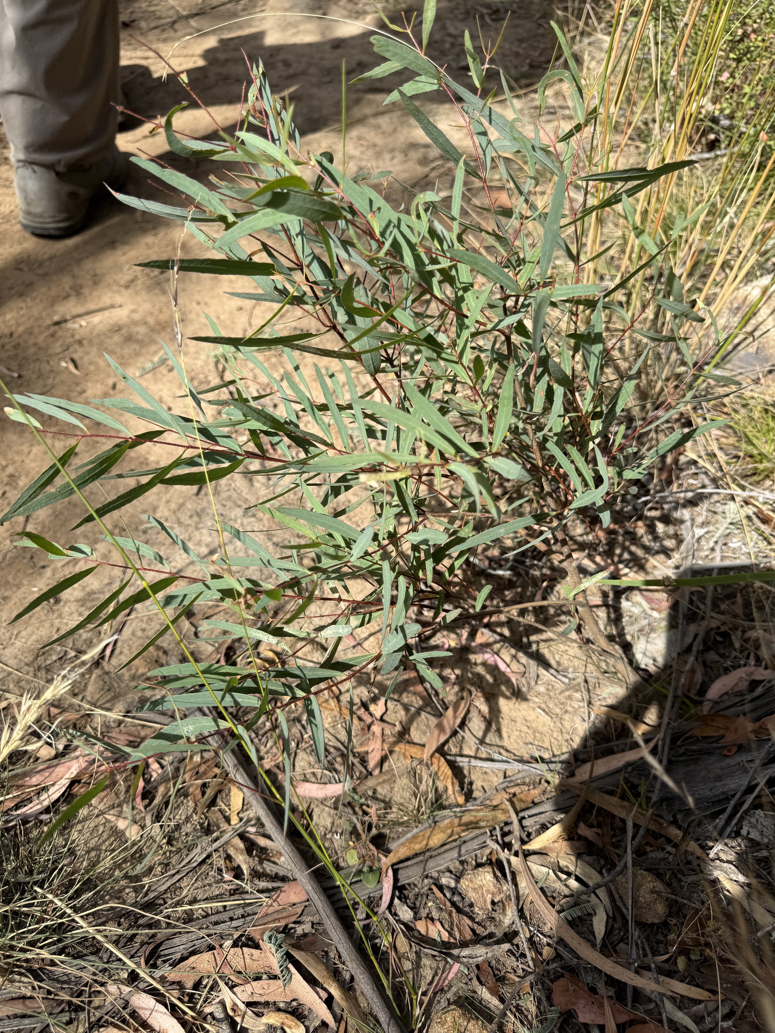 2026-02-28 14.56.50.jpg