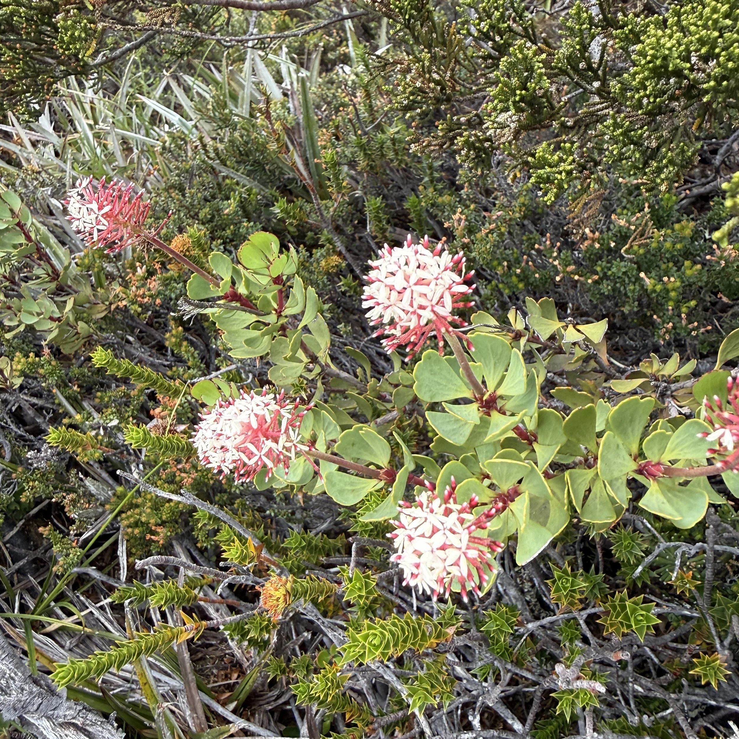 2026-02-22 11.59.53-2.jpg