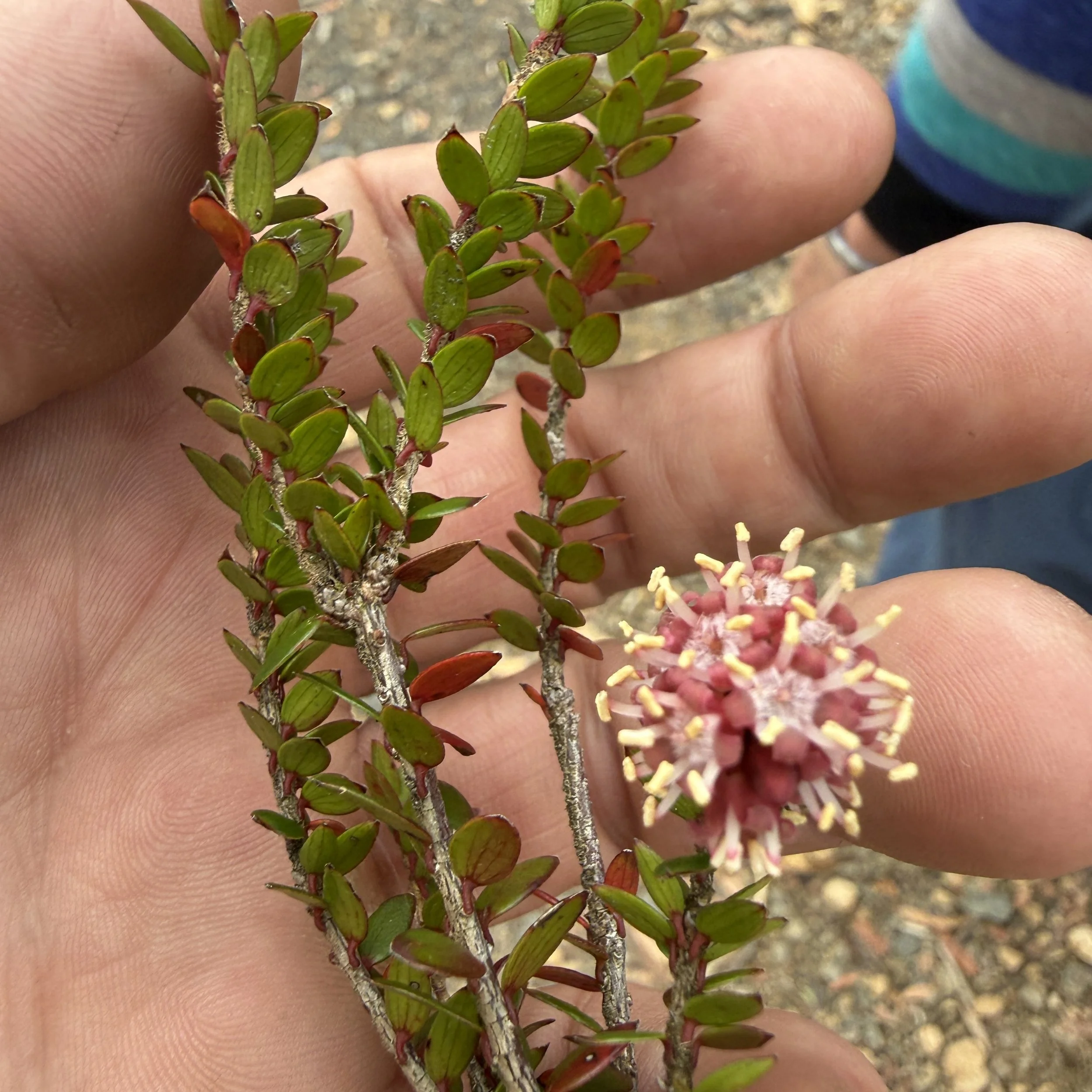 2026-02-22 11.16.38-2.jpg