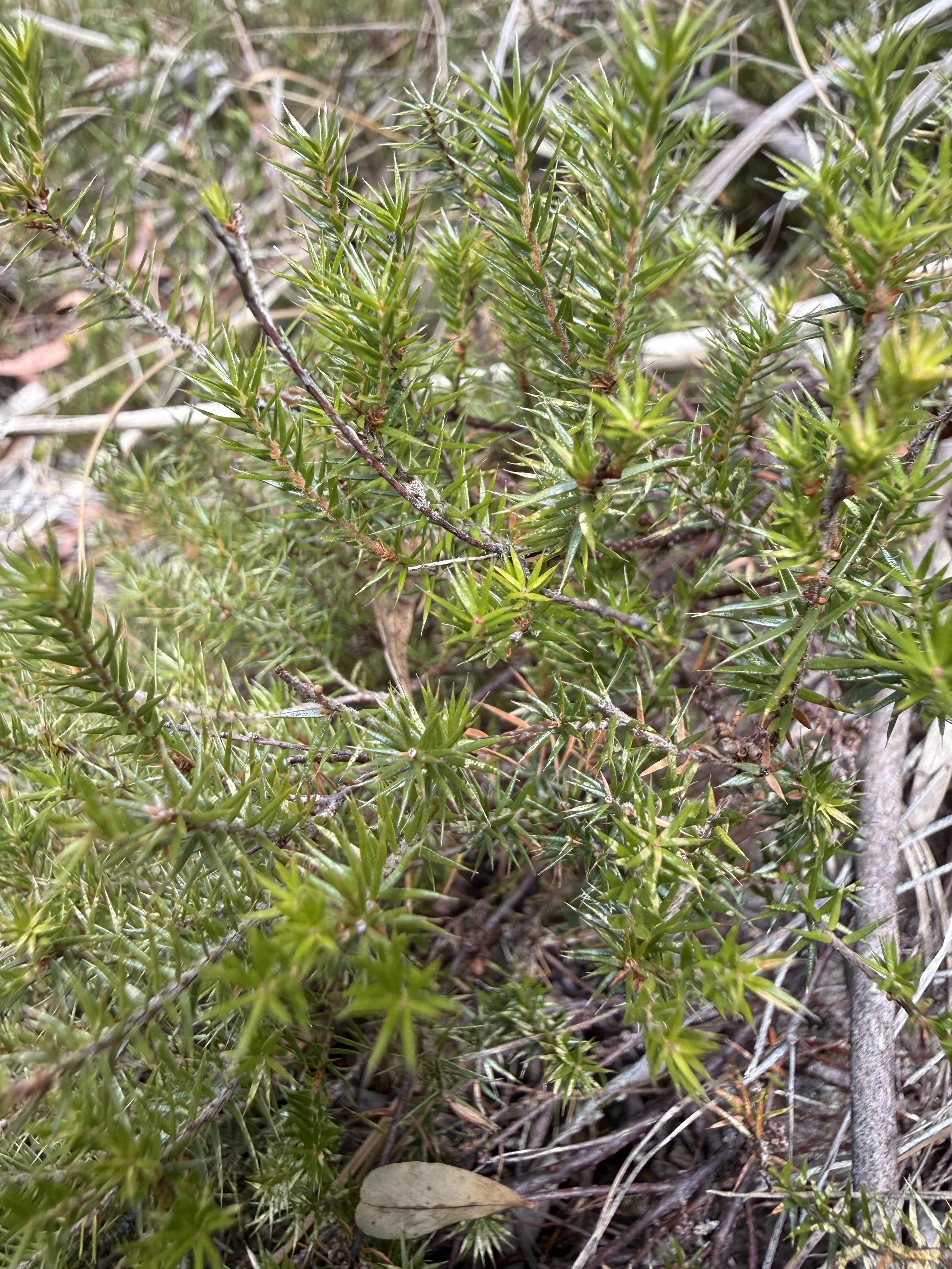 2026-02-28 14.59.52.jpg