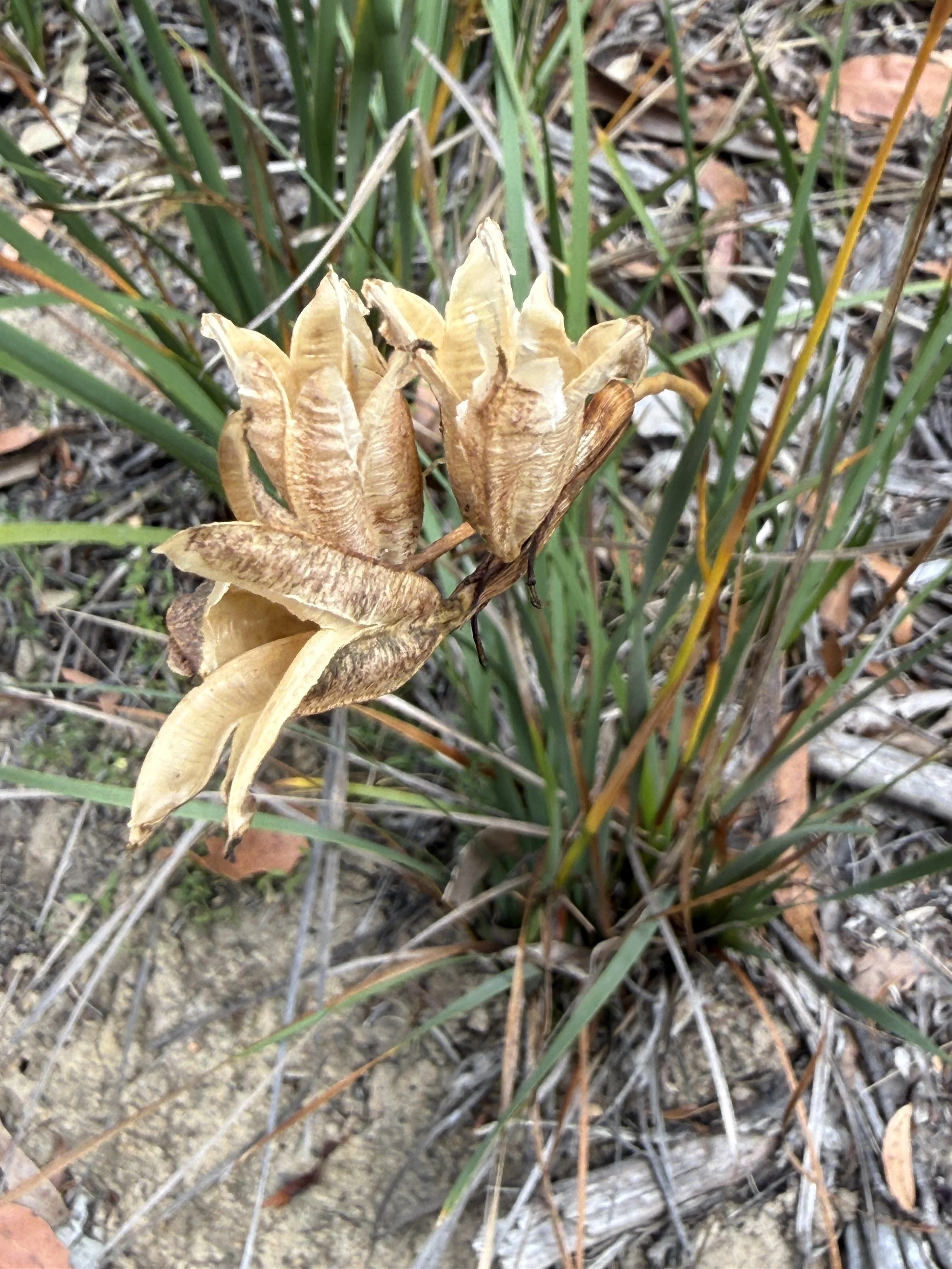 2026-02-28 14.44.22.jpg