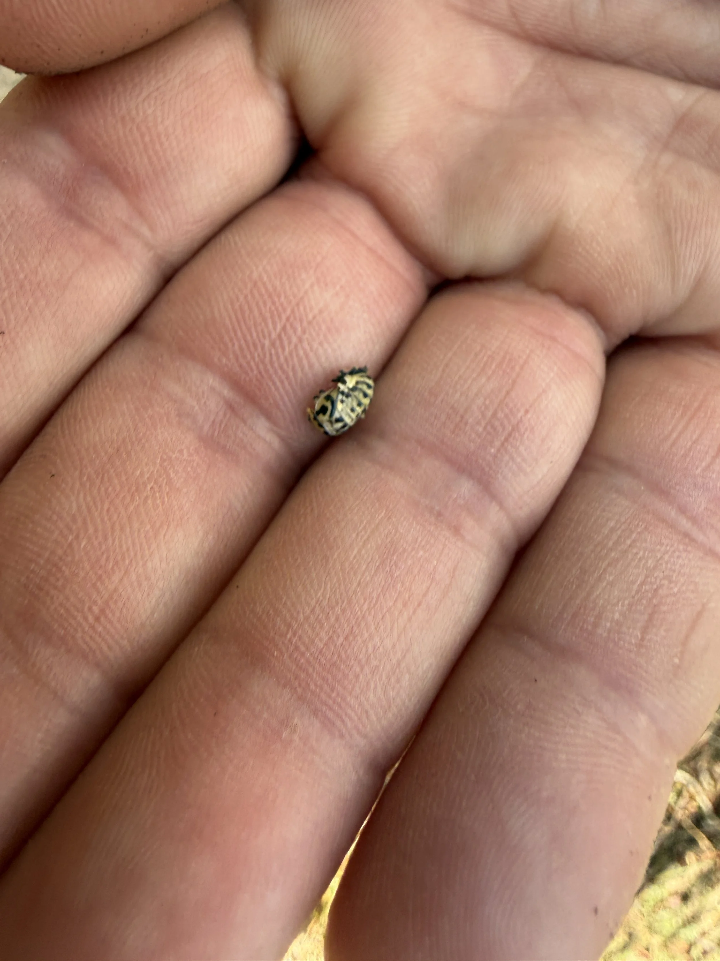 2026-02-28 16.34.05.jpg