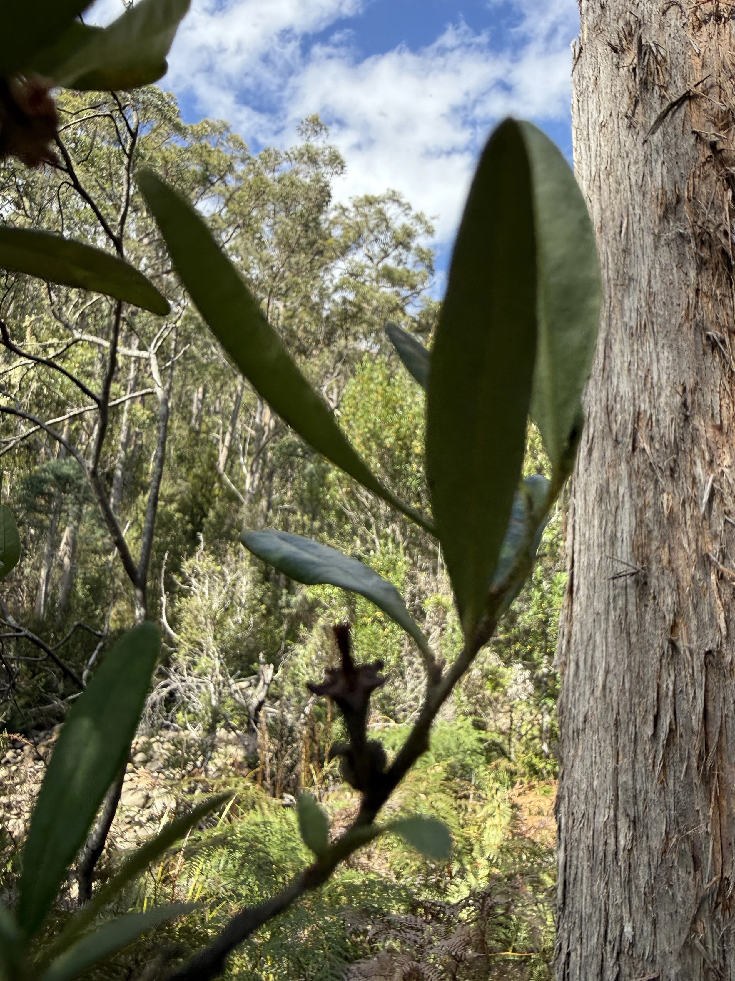 2026-02-28 15.19.09.jpg