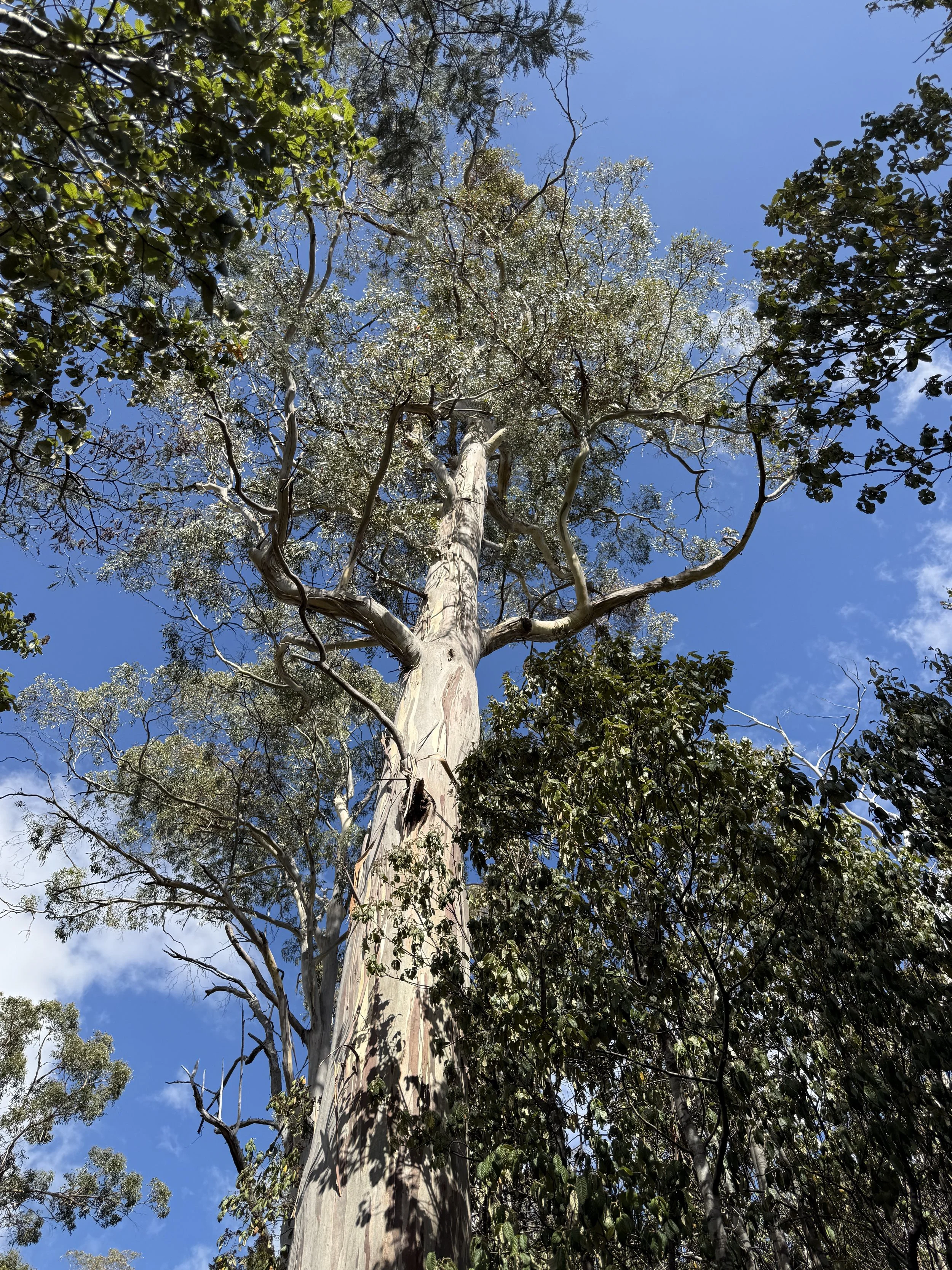 2026-02-28 15.16.05.jpg