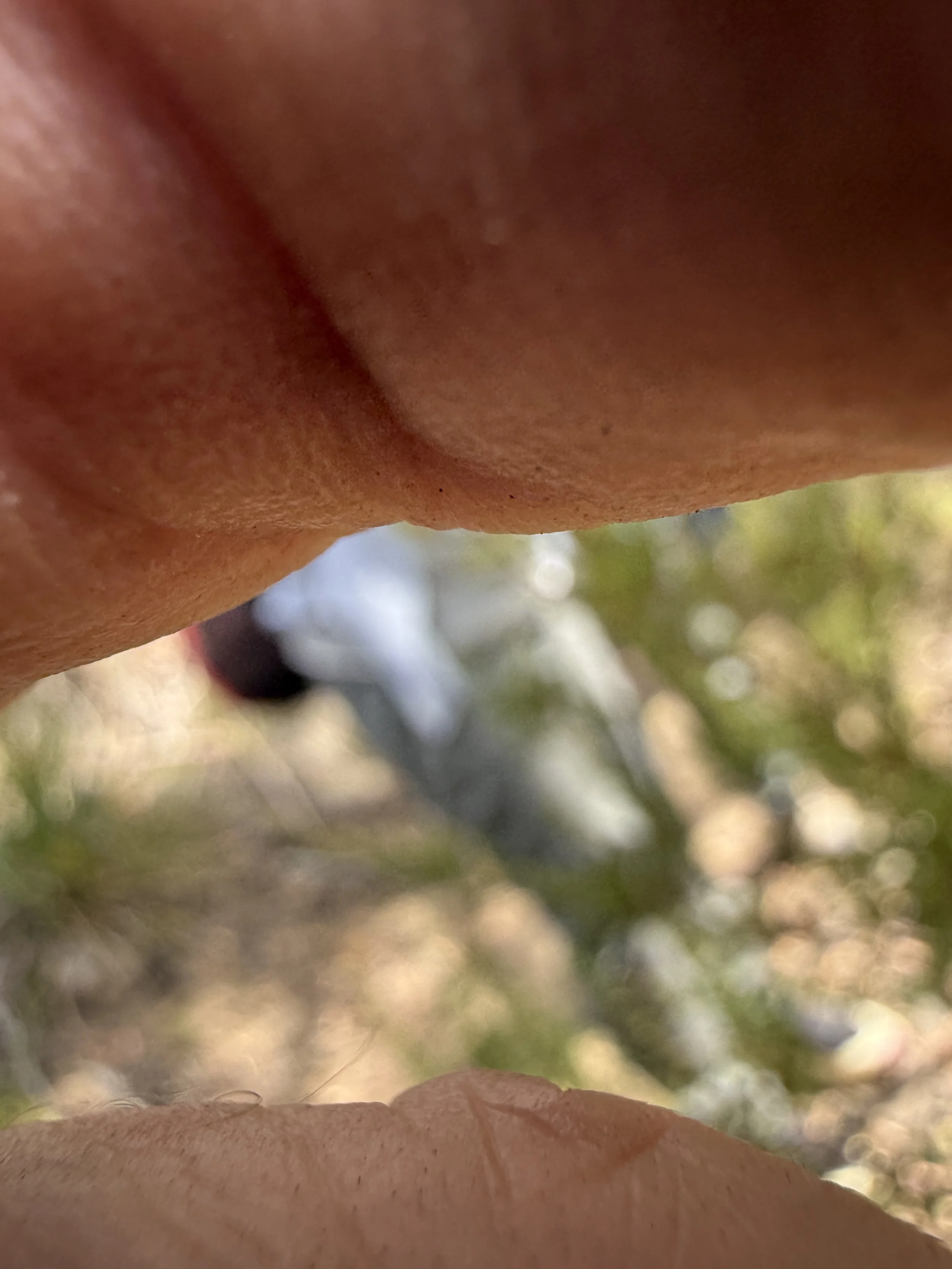 2026-02-28 14.51.21.jpg