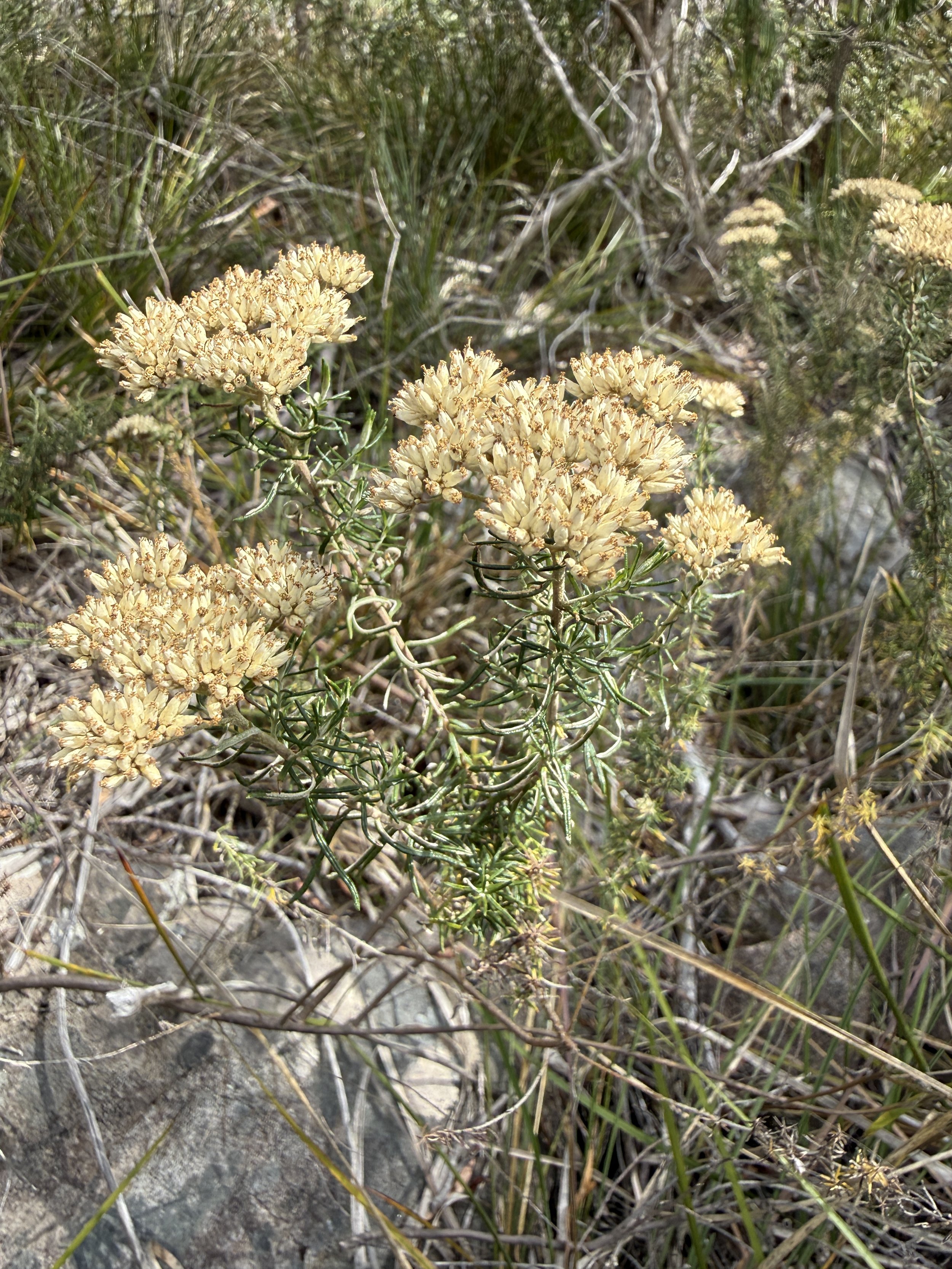 2026-02-28 14.53.42.jpg