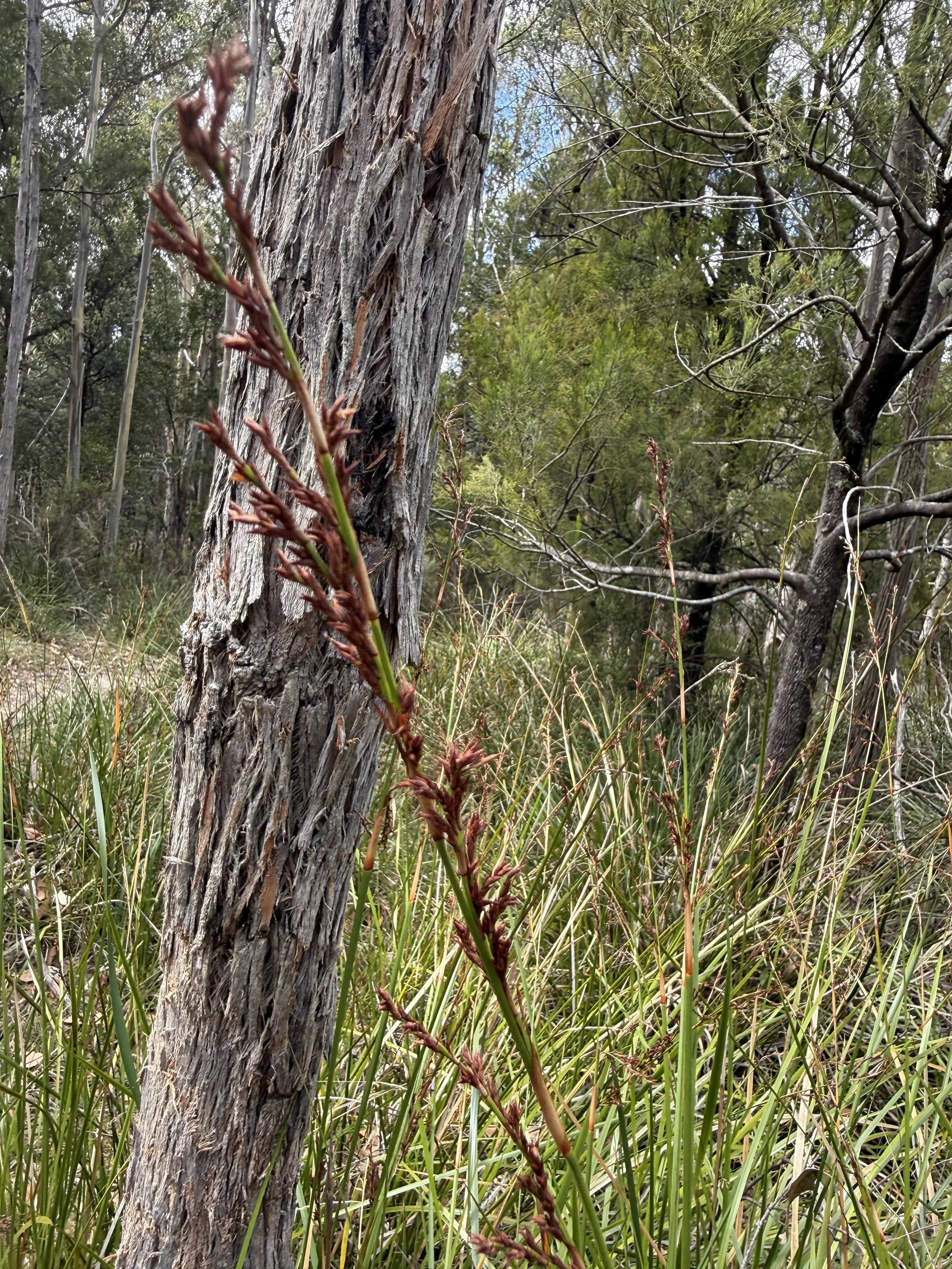 2026-02-28 14.27.06.jpg