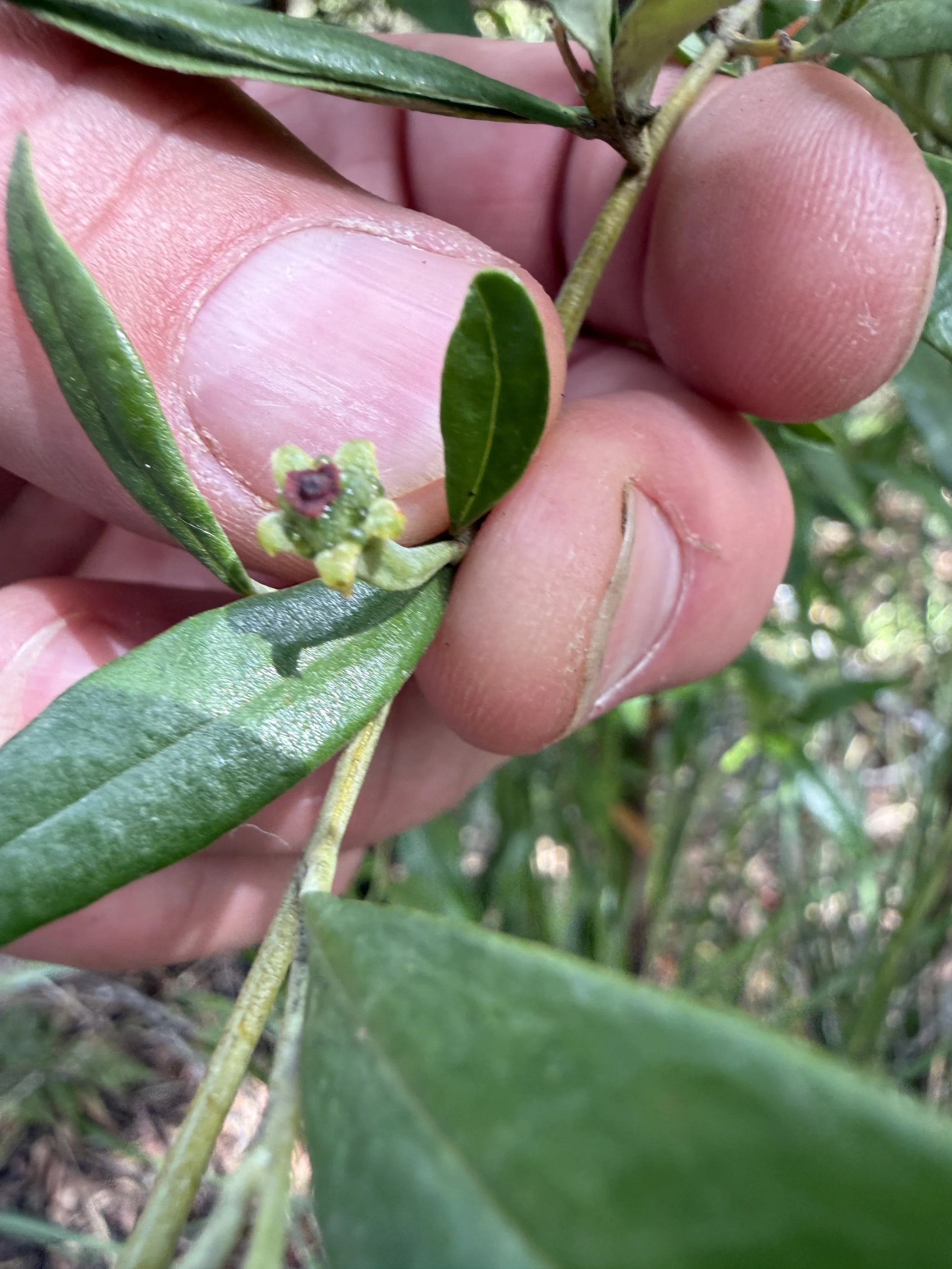 2026-02-28 15.11.13.jpg