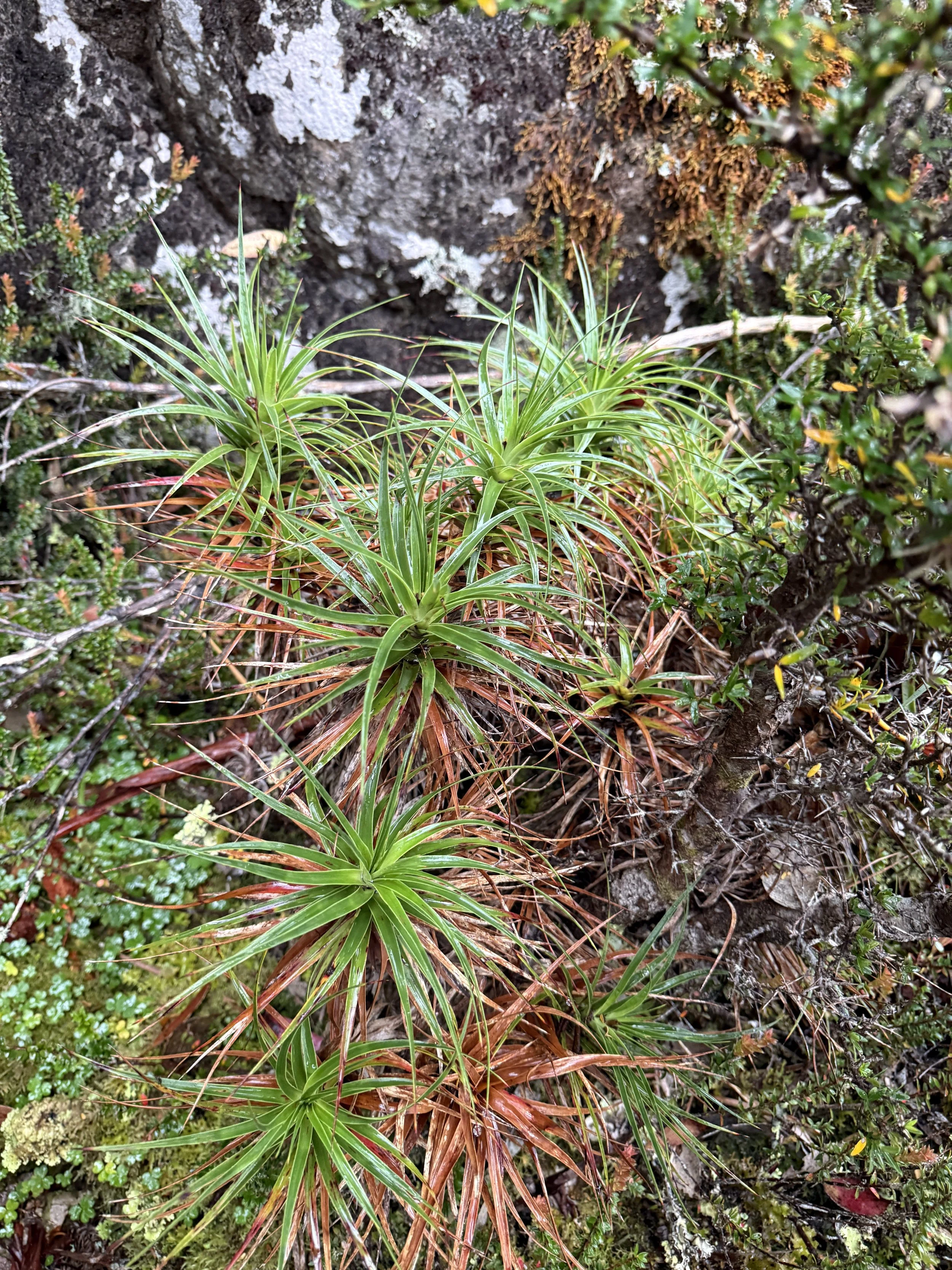 2026-02-22 14.14.06-1.jpg