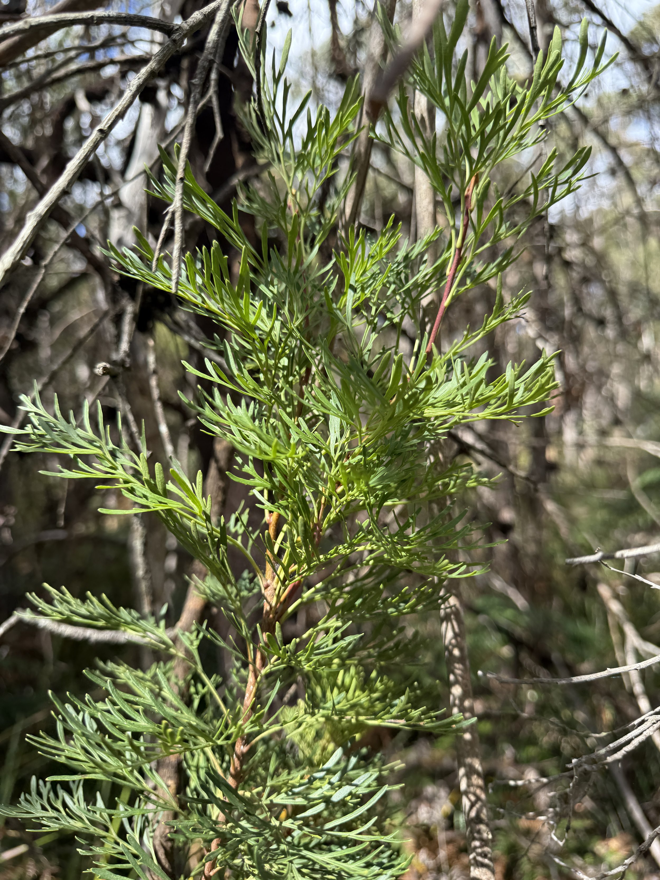 2026-02-28 14.19.16.jpg