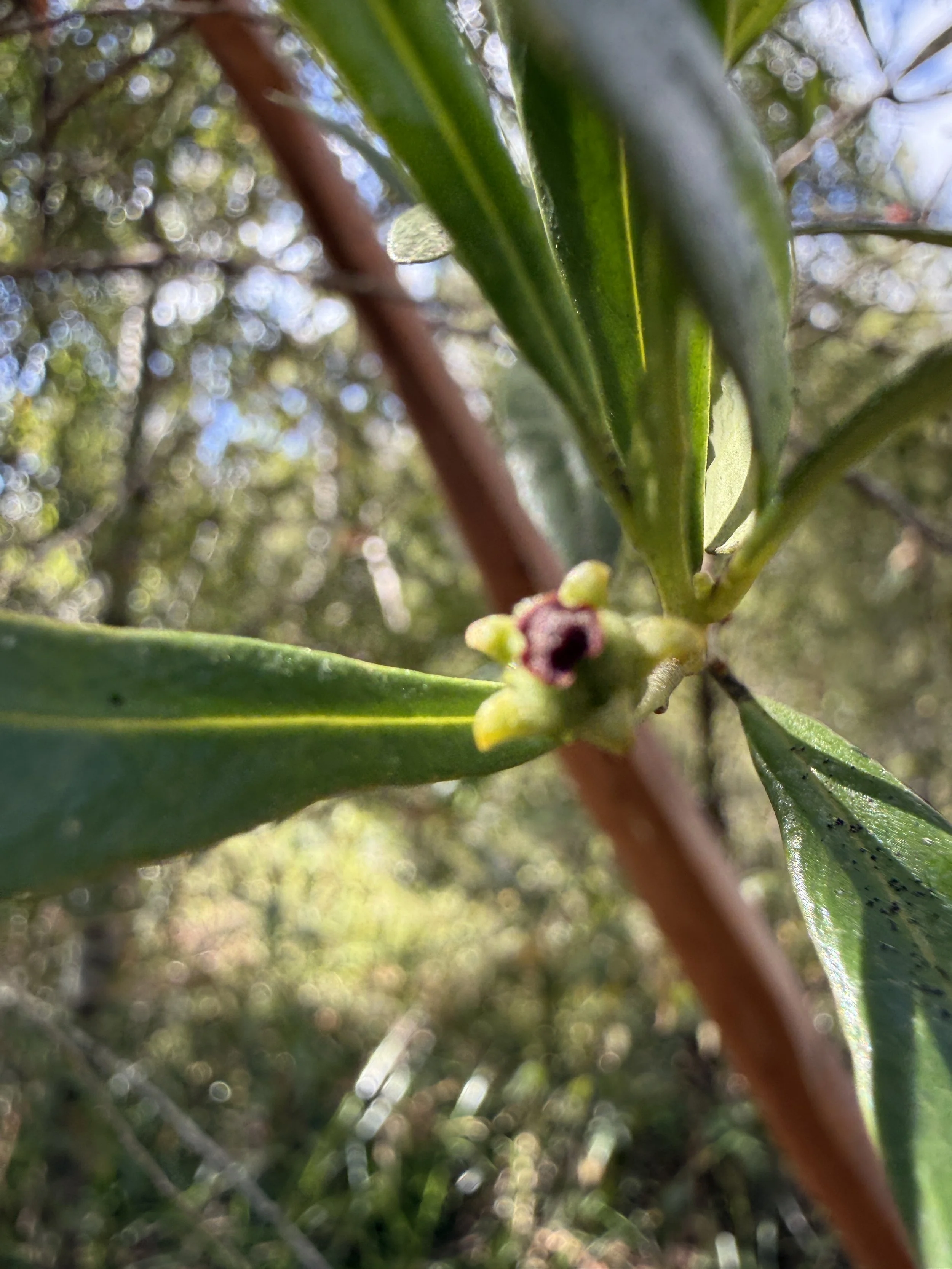 2026-02-28 15.09.20.jpg